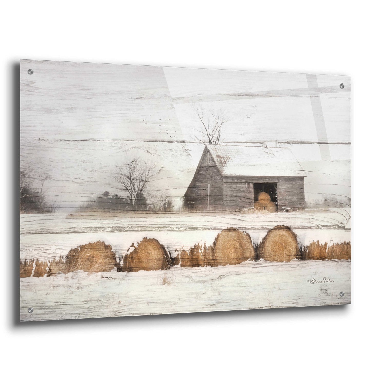 Epic Art 'Vermont Hay' by Lori Deiter, Acrylic Glass Wall Art,36x24