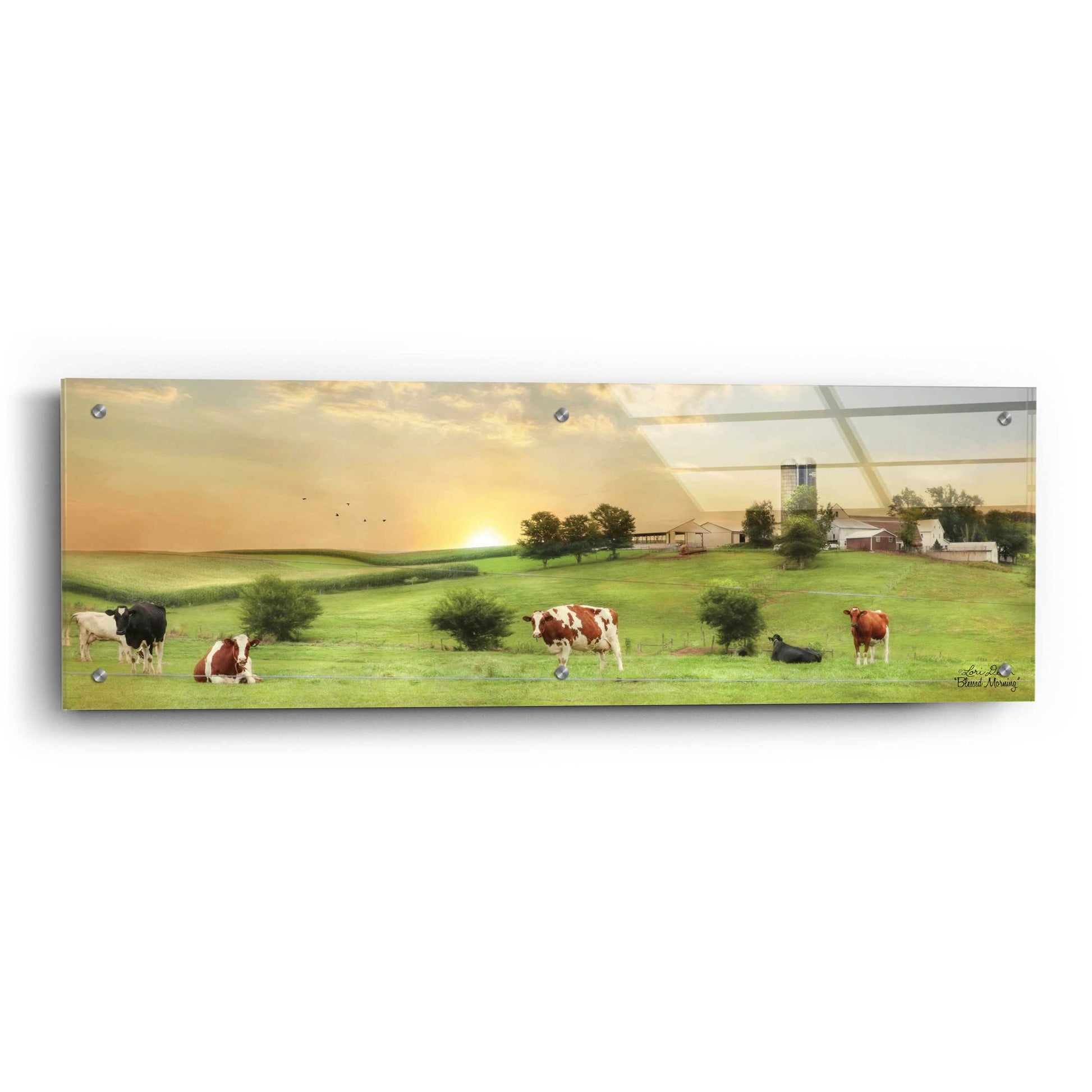 Epic Art 'Blessed Morning' by Lori Deiter, Acrylic Glass Wall Art,36x12