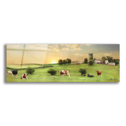 Epic Art 'Blessed Morning' by Lori Deiter, Acrylic Glass Wall Art,3:1