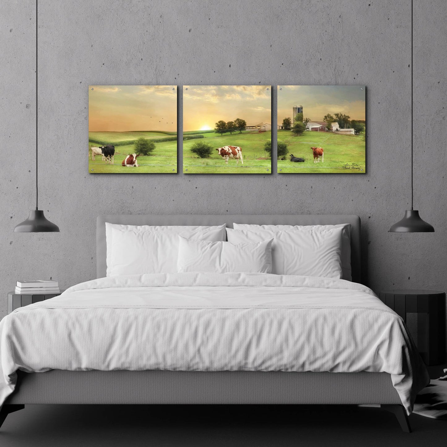 Epic Art 'Blessed Morning' by Lori Deiter, Acrylic Glass Wall Art, 3 Piece Set,72x24