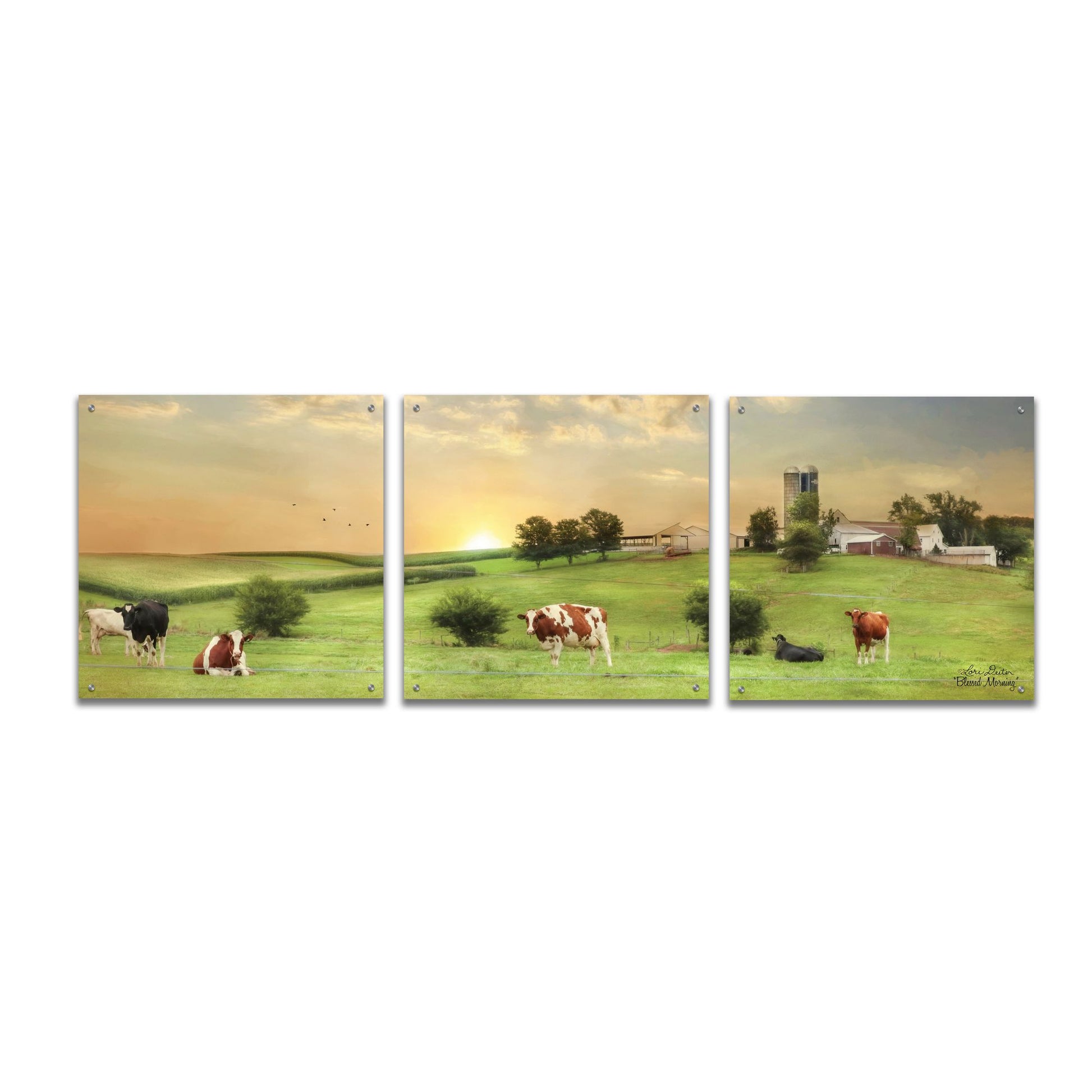 Epic Art 'Blessed Morning' by Lori Deiter, Acrylic Glass Wall Art, 3 Piece Set