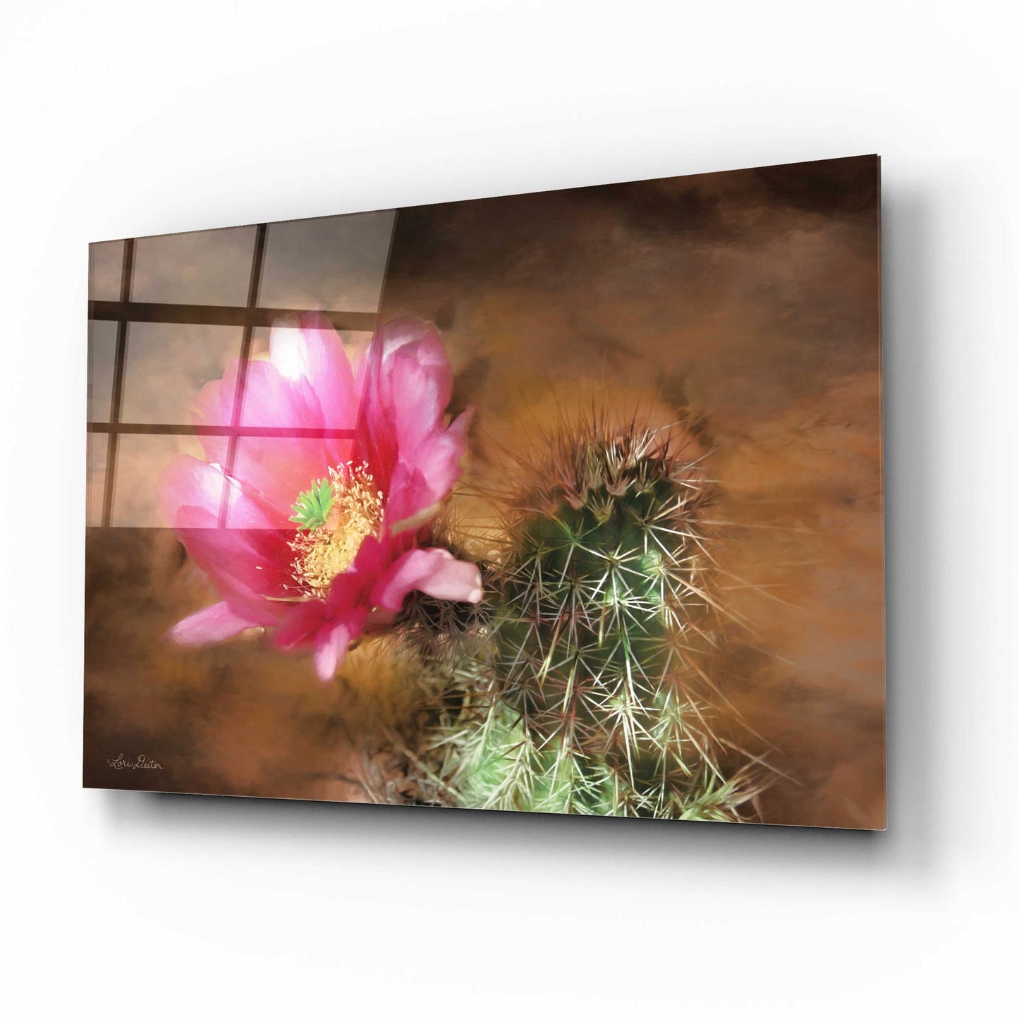 Epic Art 'Vibrant Cactus Flower' by Lori Deiter, Acrylic Glass Wall Art,16x12