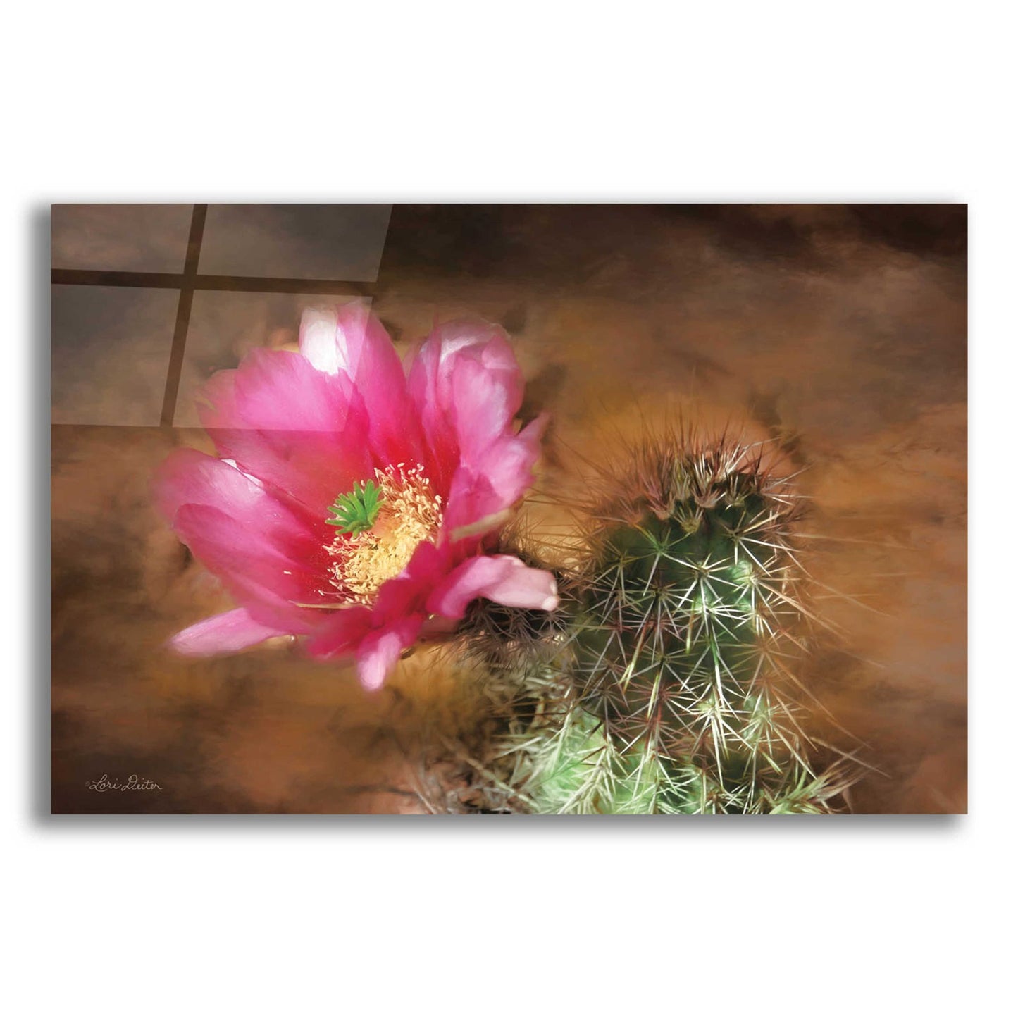 Epic Art 'Vibrant Cactus Flower' by Lori Deiter, Acrylic Glass Wall Art,24x16