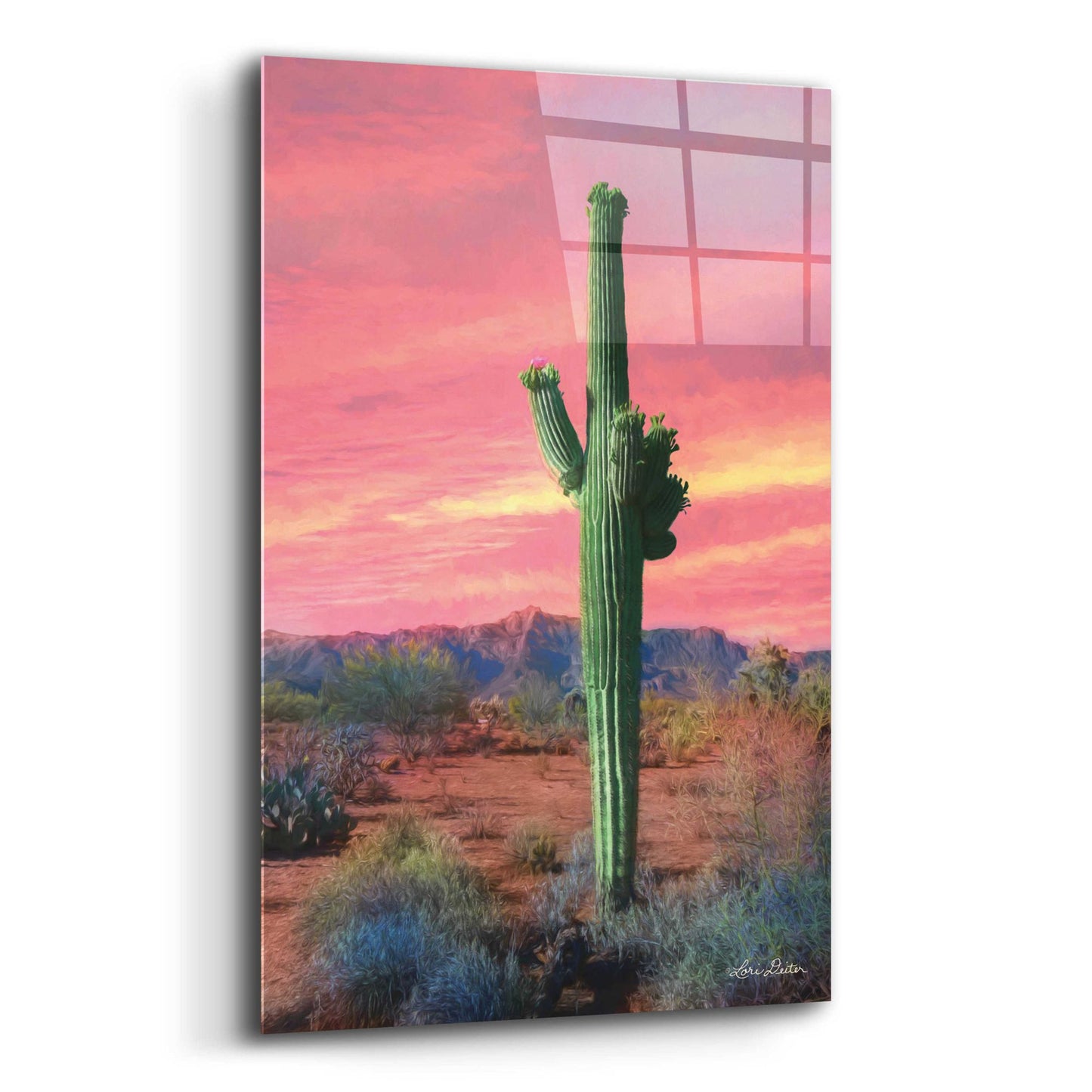 Epic Art 'Vibrant Cactus Sunset' by Lori Deiter, Acrylic Glass Wall Art,12x16