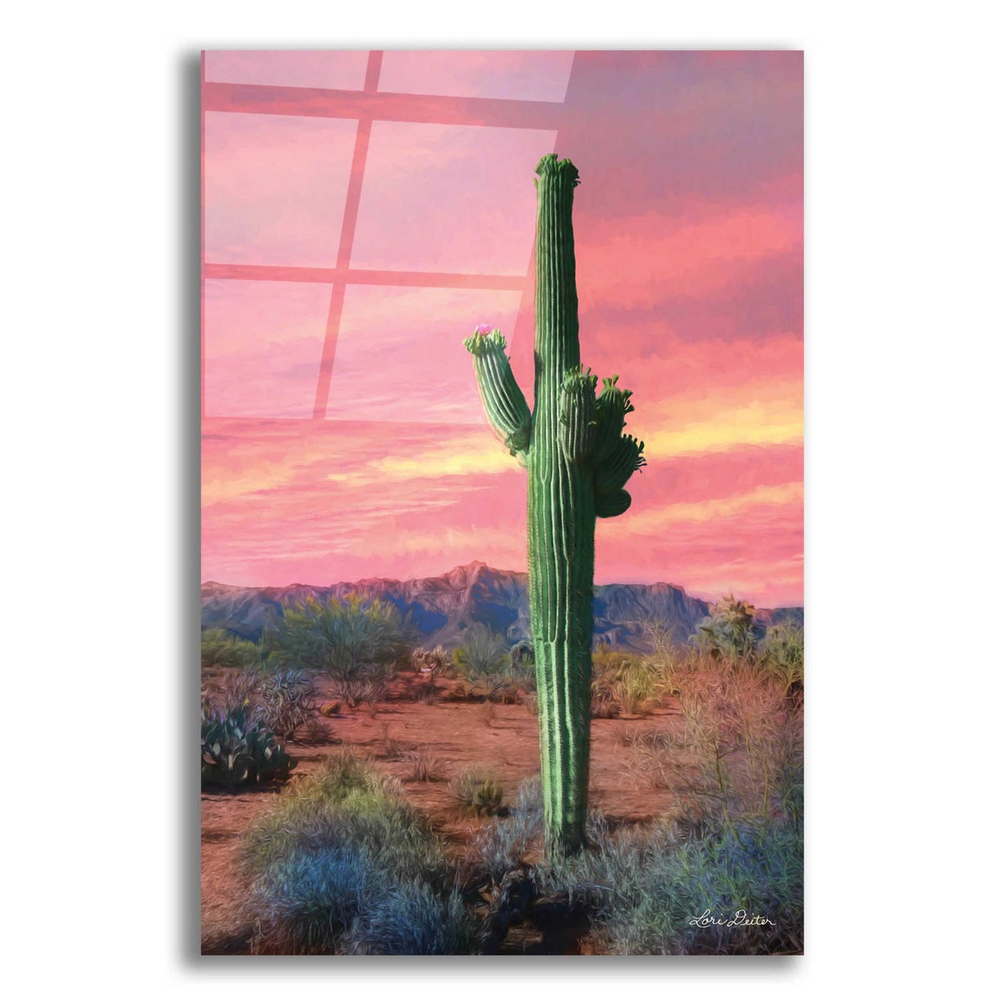 Epic Art 'Vibrant Cactus Sunset' by Lori Deiter, Acrylic Glass Wall Art