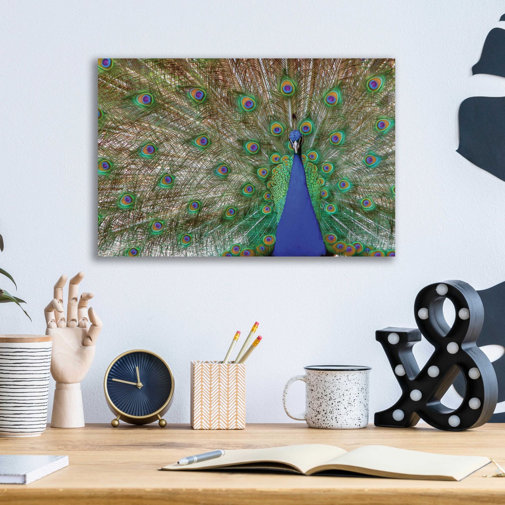 Epic Art 'Peacock' by Lori Deiter, Acrylic Glass Wall Art,16x12