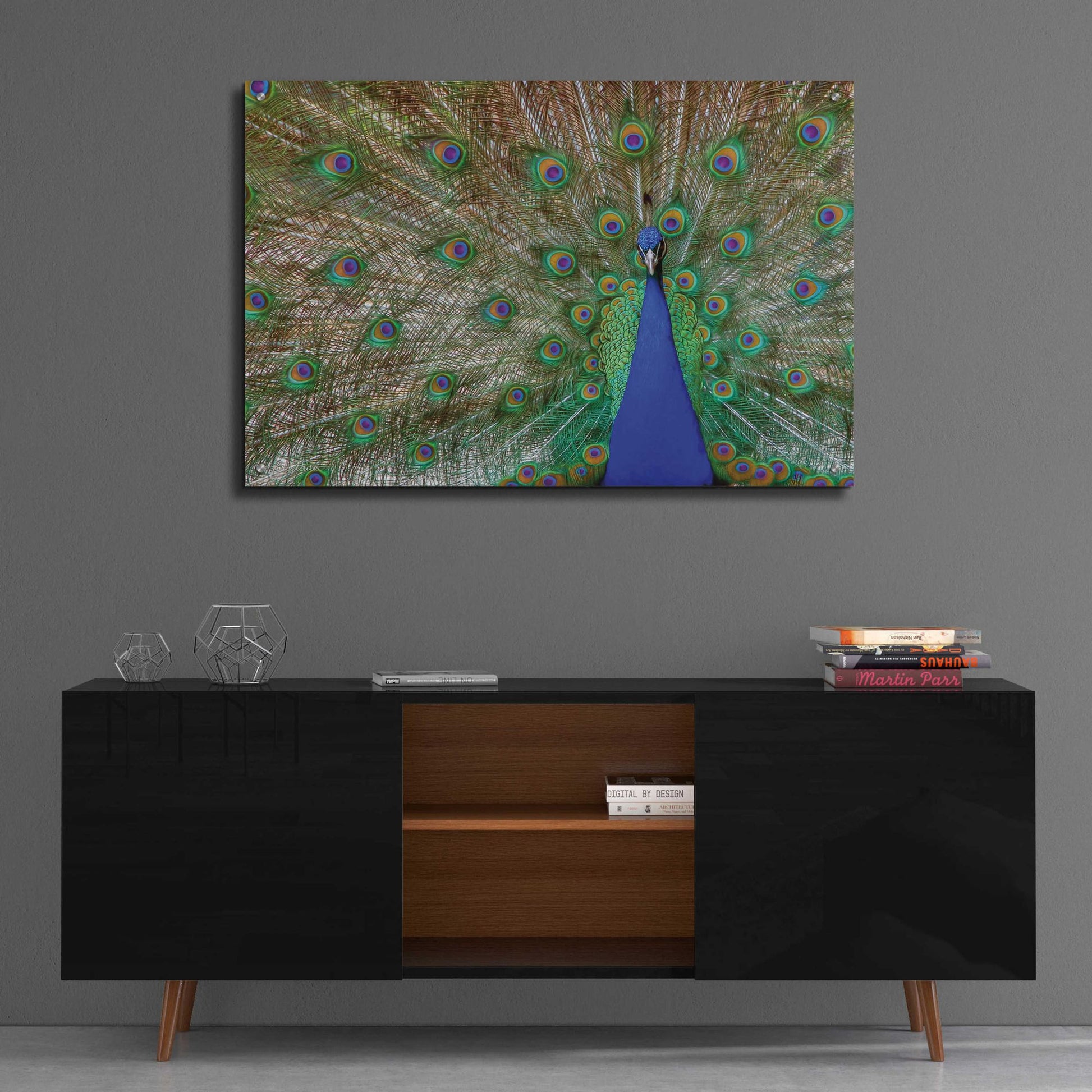 Epic Art 'Peacock' by Lori Deiter, Acrylic Glass Wall Art,36x24