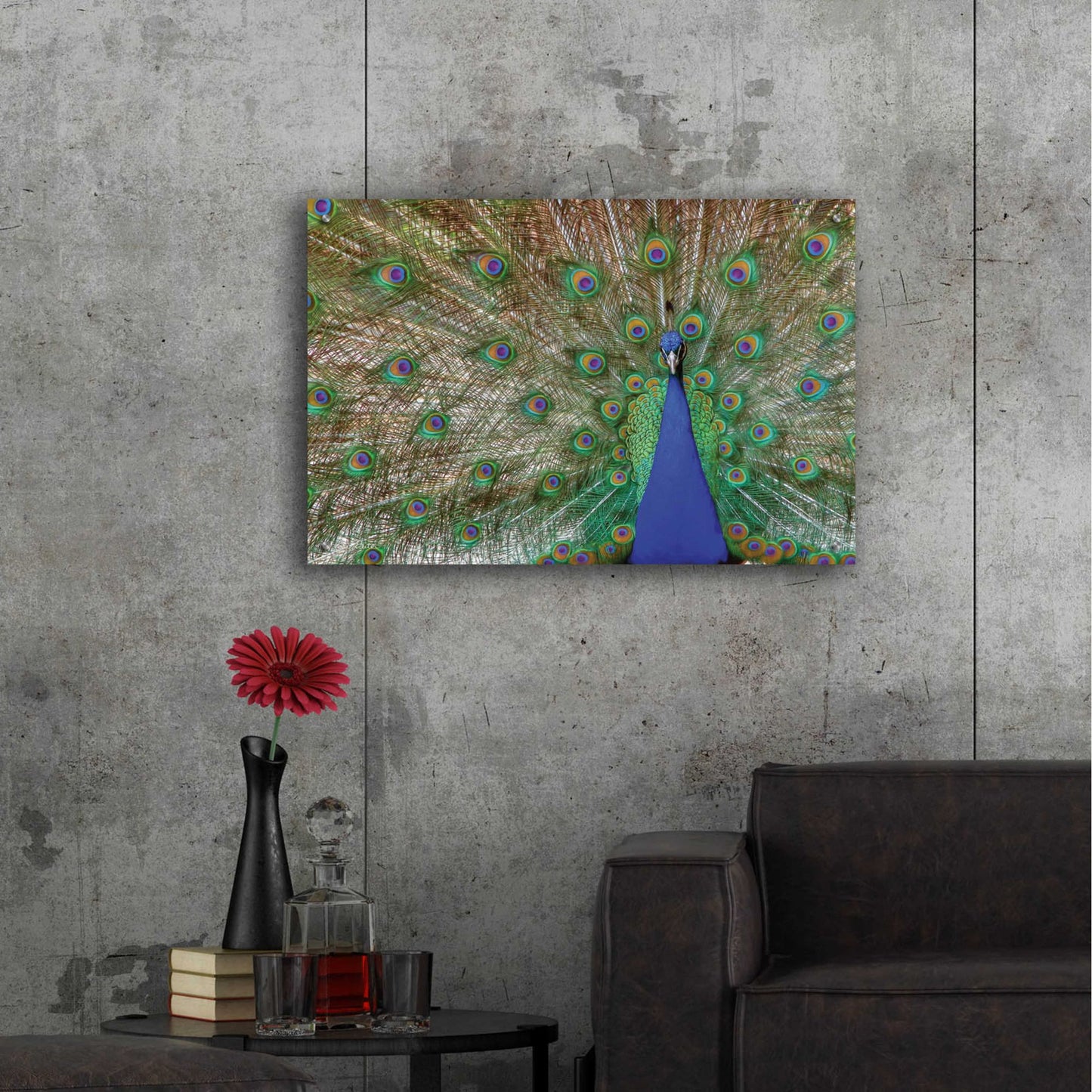 Epic Art 'Peacock' by Lori Deiter, Acrylic Glass Wall Art,36x24