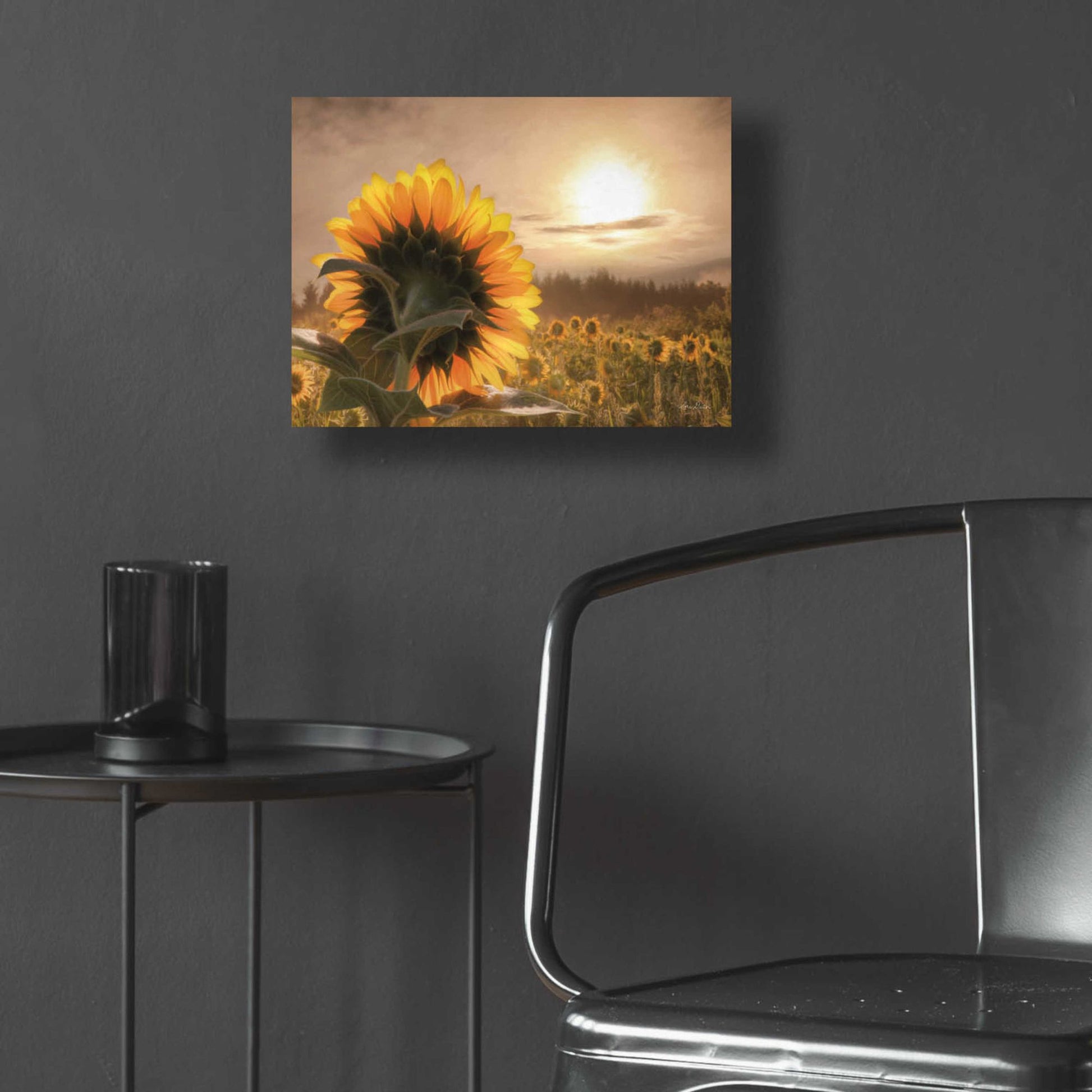 Epic Art 'Sunlit Sunflower' by Lori Deiter, Acrylic Glass Wall Art,16x12