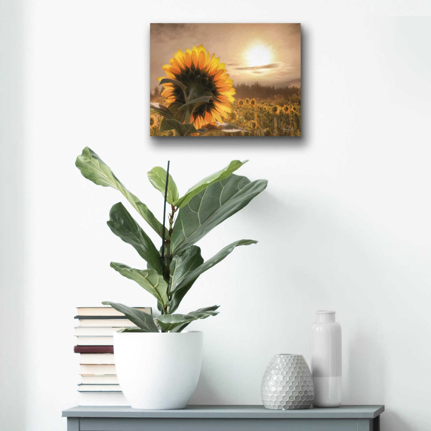 Epic Art 'Sunlit Sunflower' by Lori Deiter, Acrylic Glass Wall Art,16x12