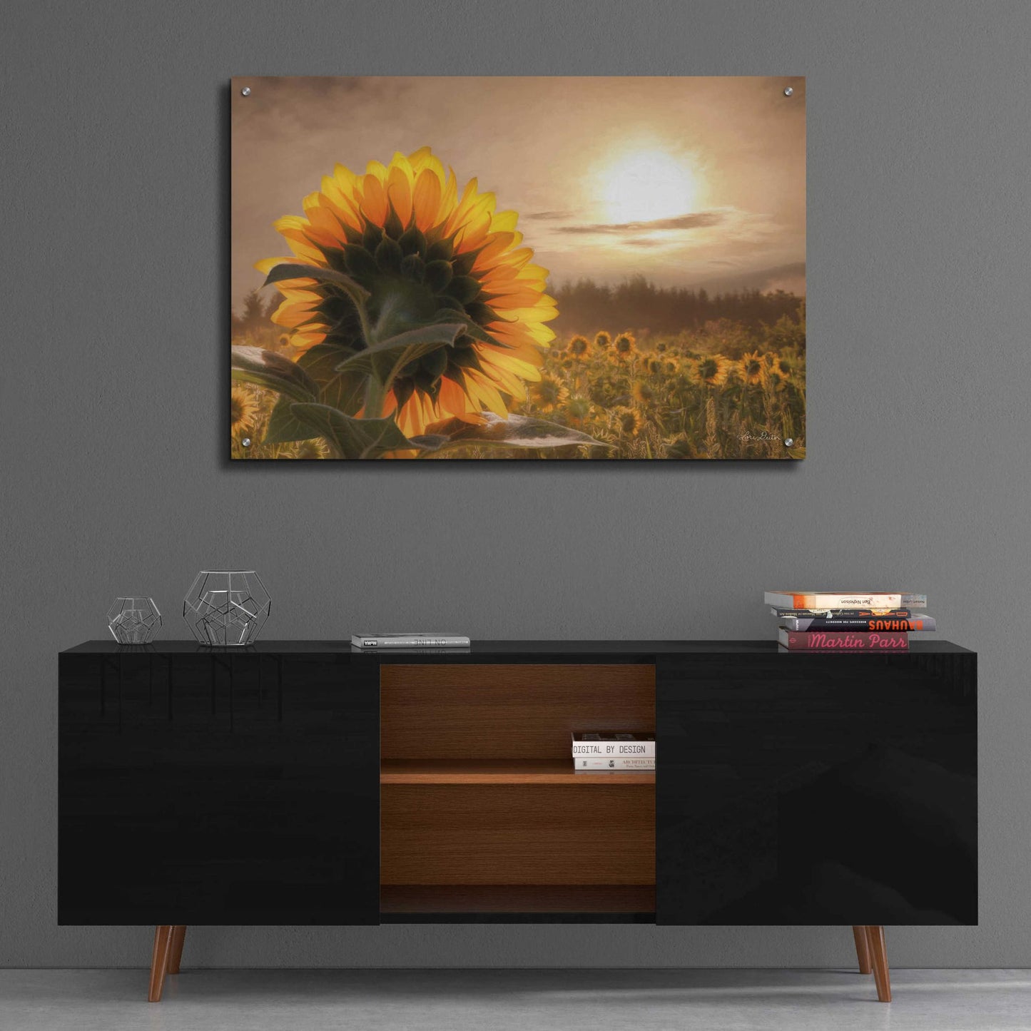 Epic Art 'Sunlit Sunflower' by Lori Deiter, Acrylic Glass Wall Art,36x24