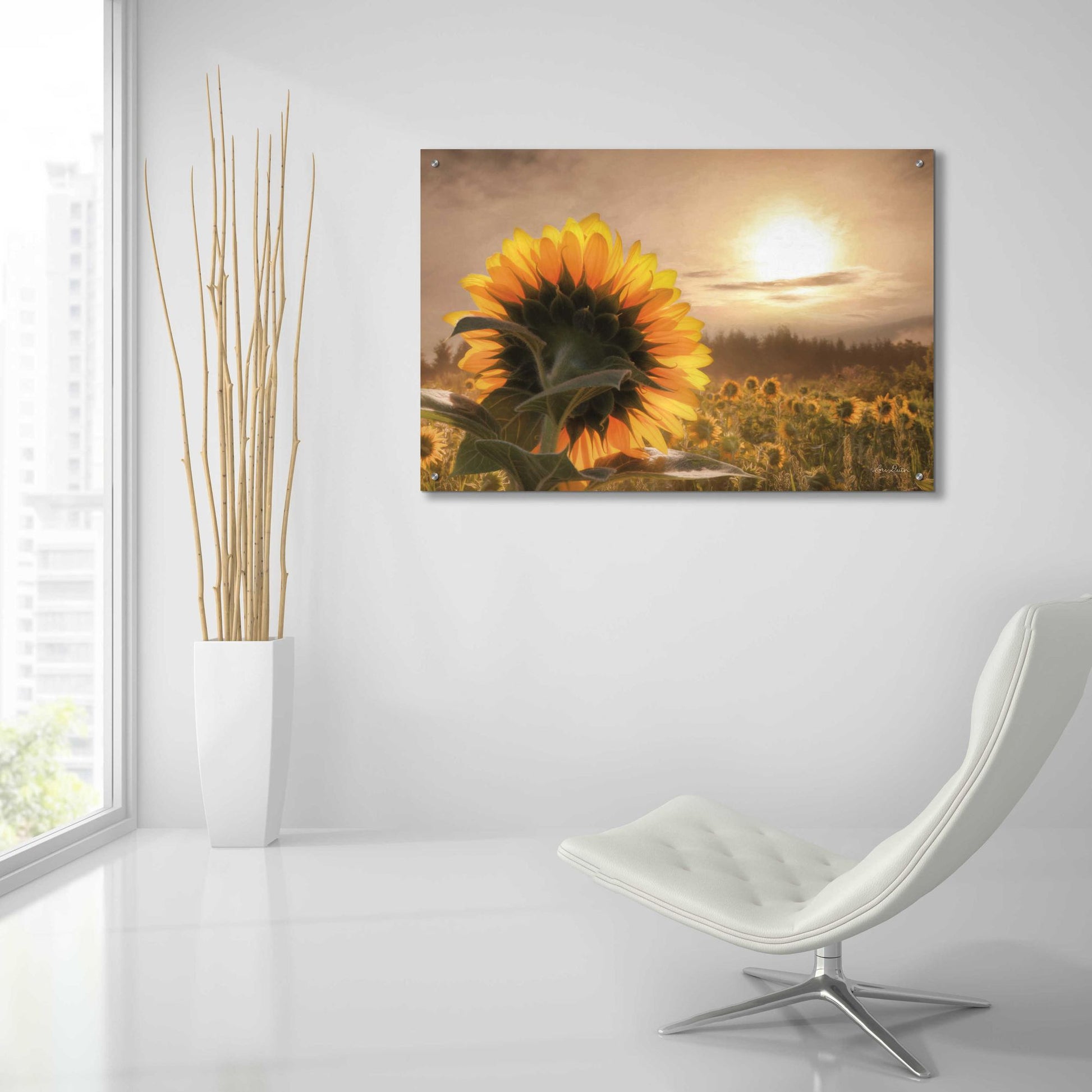 Epic Art 'Sunlit Sunflower' by Lori Deiter, Acrylic Glass Wall Art,36x24