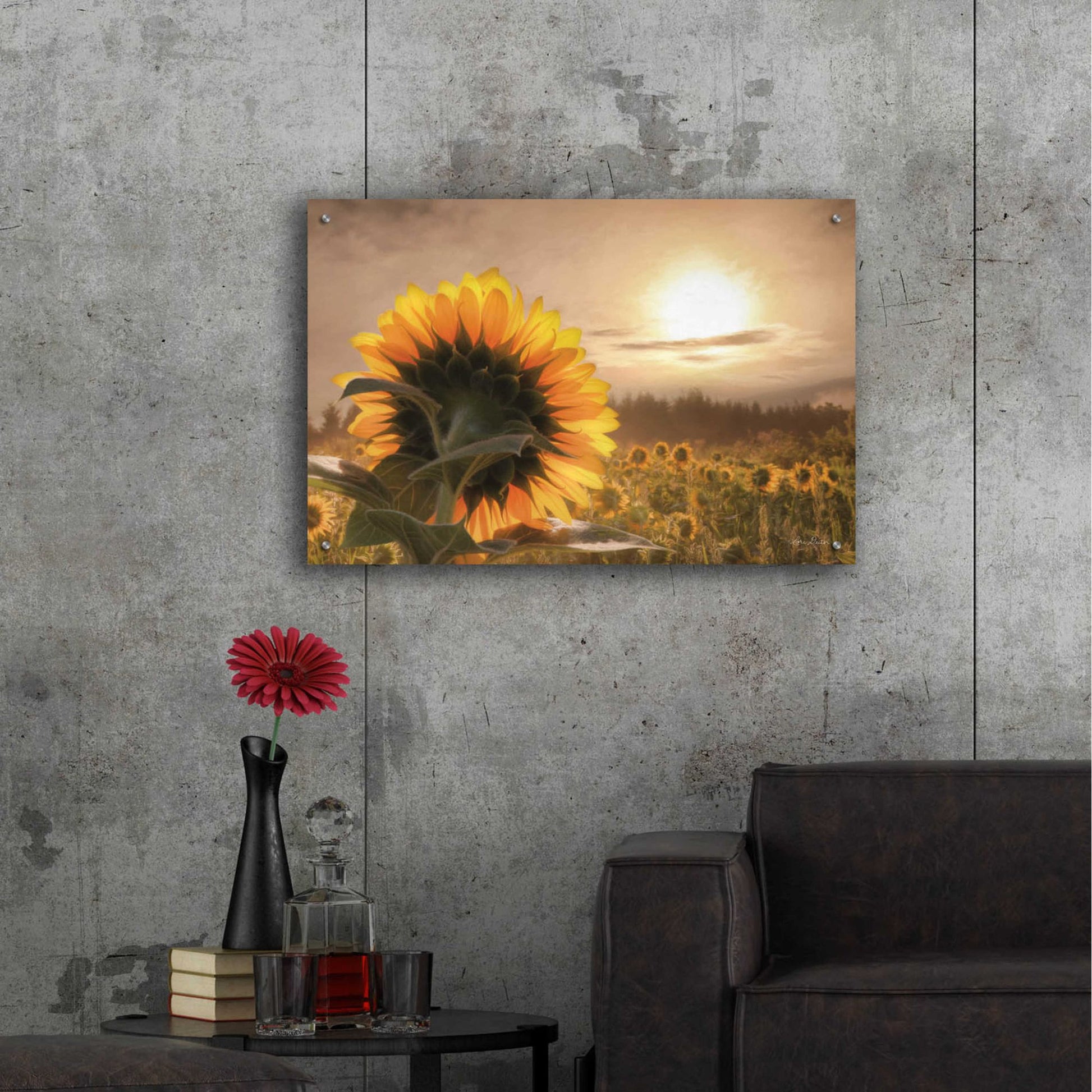 Epic Art 'Sunlit Sunflower' by Lori Deiter, Acrylic Glass Wall Art,36x24