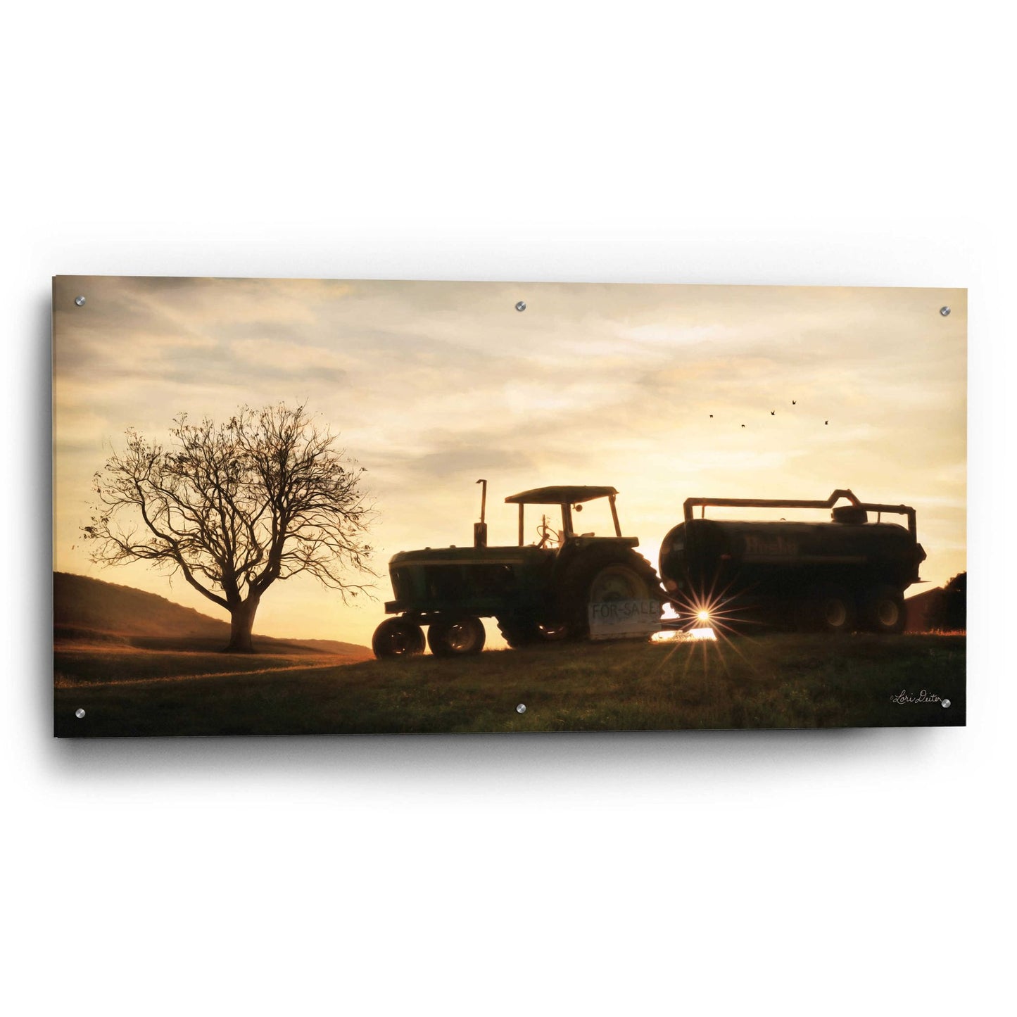 Epic Art 'Tractor for Sale' by Lori Deiter, Acrylic Glass Wall Art,48x24