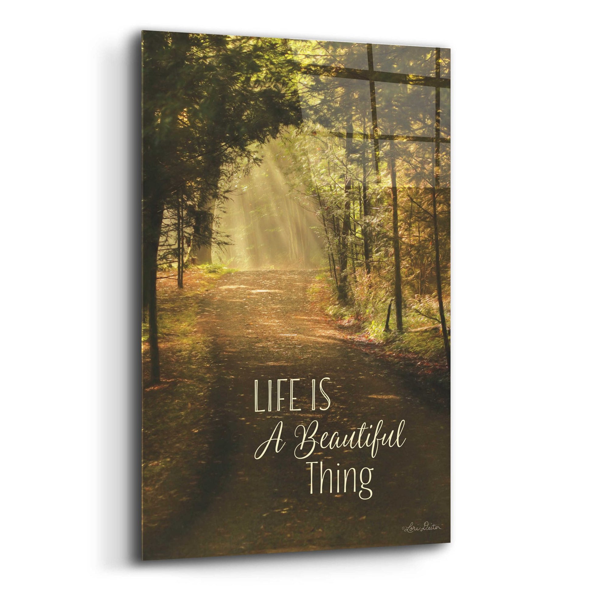 Epic Art 'Life is a Beautiful Thing' by Lori Deiter, Acrylic Glass Wall Art,12x16