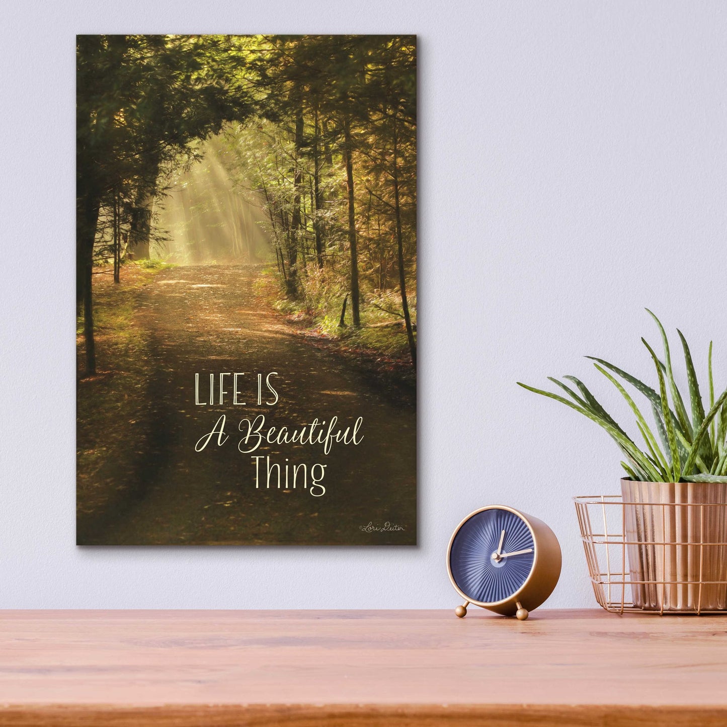 Epic Art 'Life is a Beautiful Thing' by Lori Deiter, Acrylic Glass Wall Art,12x16