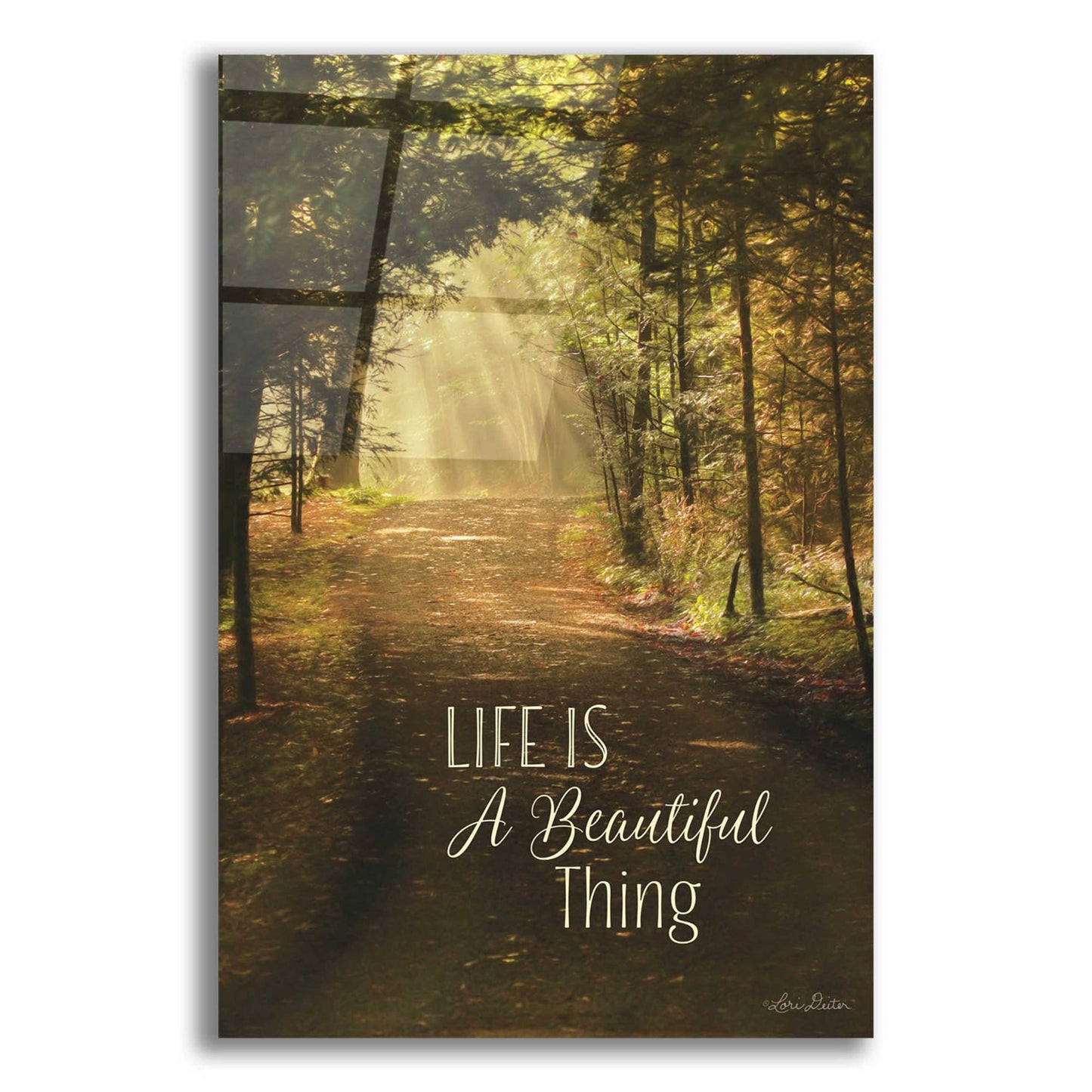 Epic Art 'Life is a Beautiful Thing' by Lori Deiter, Acrylic Glass Wall Art