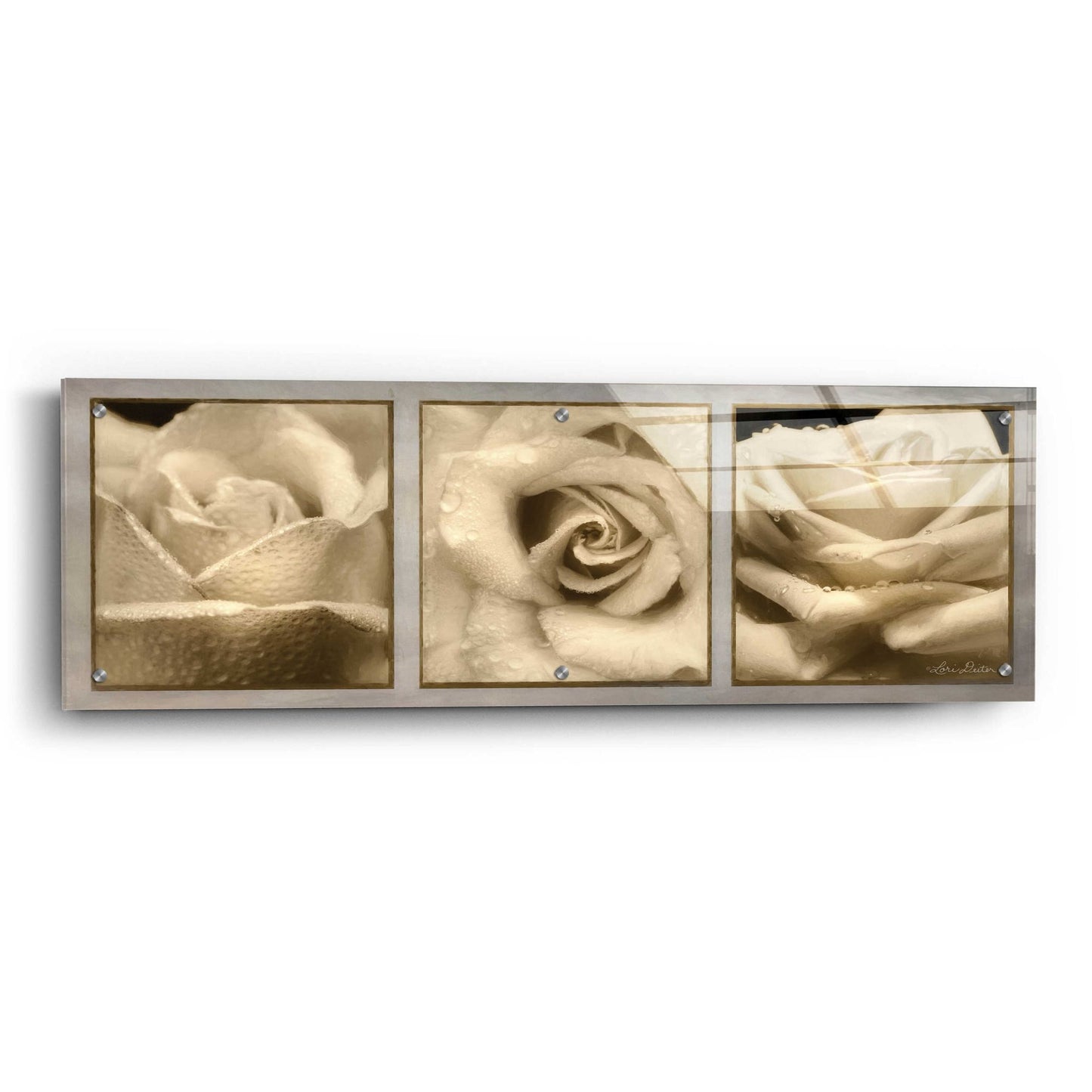 Epic Art 'Rose Trio' by Lori Deiter, Acrylic Glass Wall Art,36x12