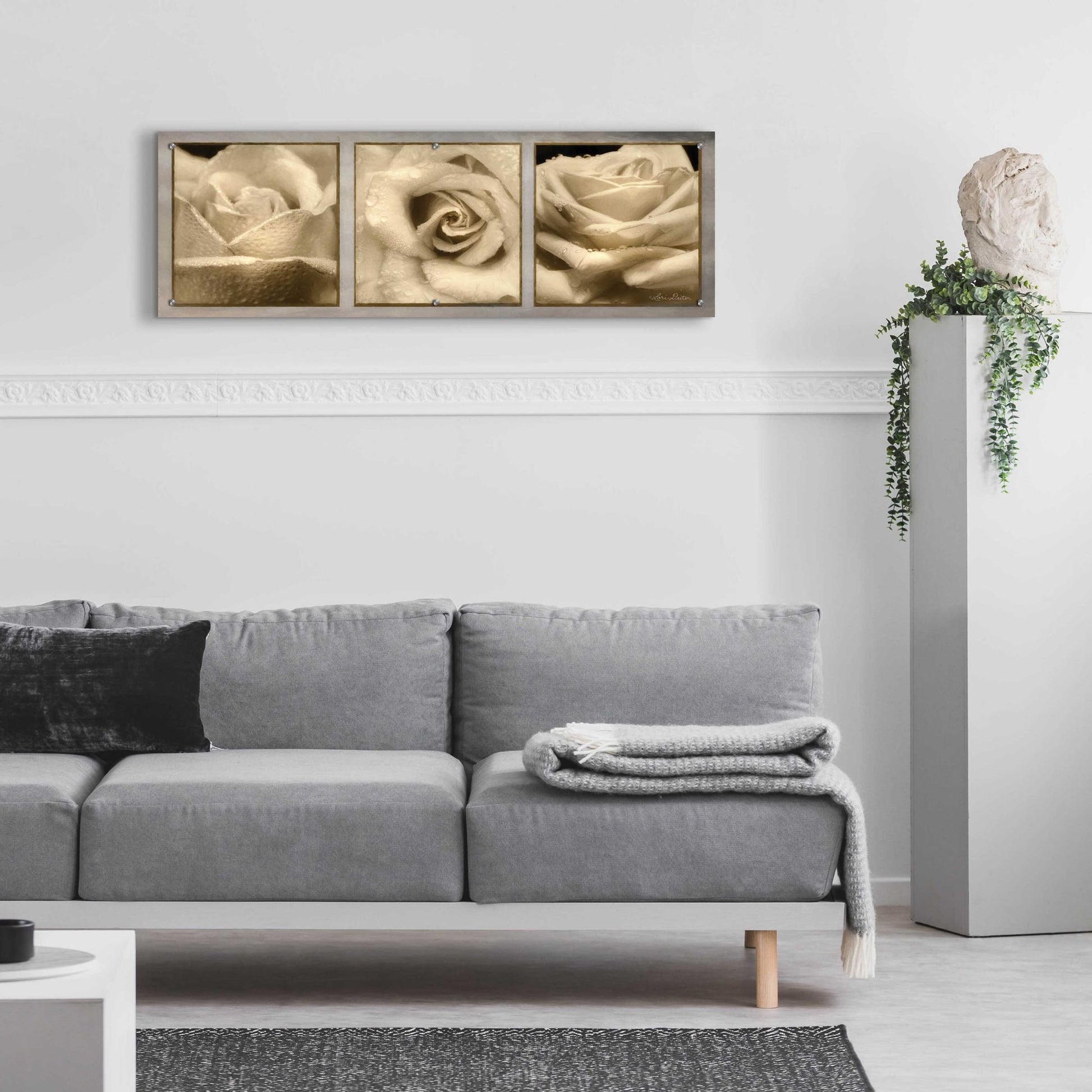 Epic Art 'Rose Trio' by Lori Deiter, Acrylic Glass Wall Art,48x16