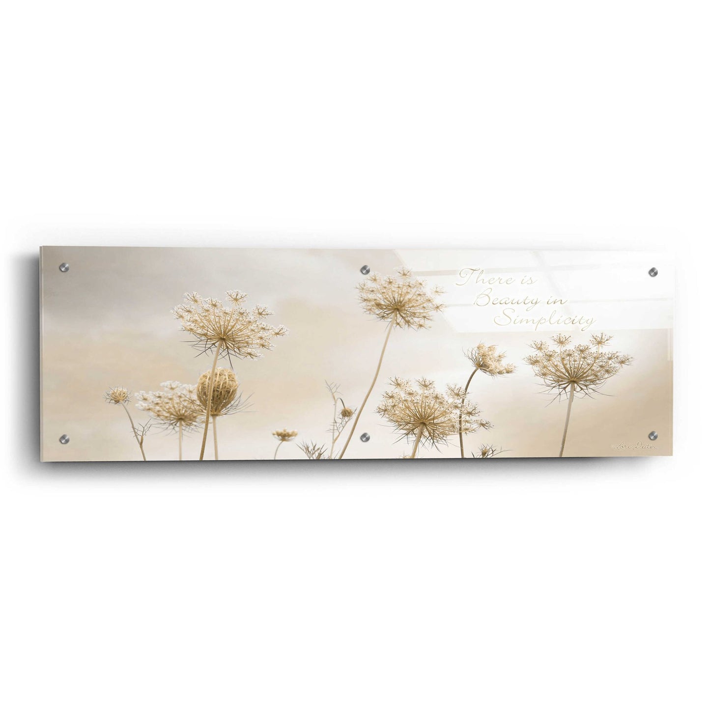 Epic Art 'There is Beauty in Simplicity' by Lori Deiter, Acrylic Glass Wall Art,36x12