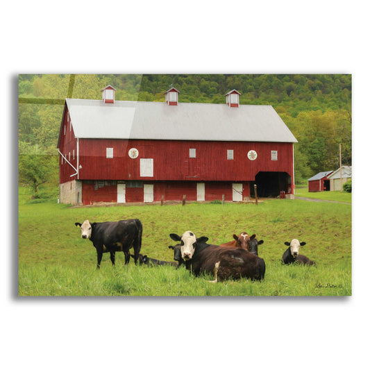 Epic Art 'Red Barn' by Lori Deiter, Acrylic Glass Wall Art