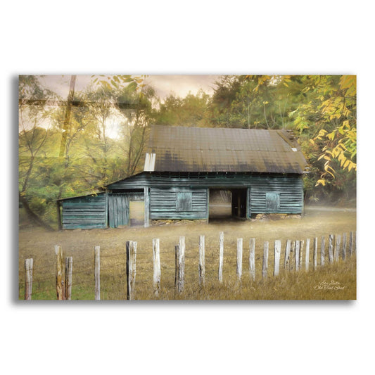 Epic Art 'Old Teal Shed' by Lori Deiter, Acrylic Glass Wall Art