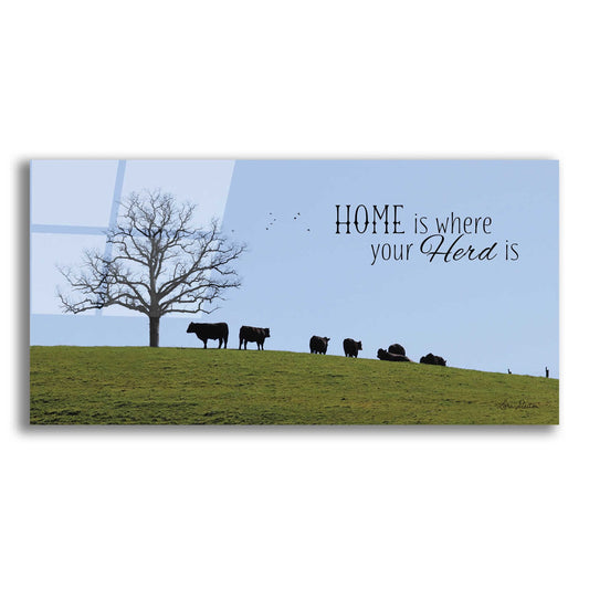 Epic Art 'Home Is Where Your Herd Is' by Lori Deiter, Acrylic Glass Wall Art,2:1