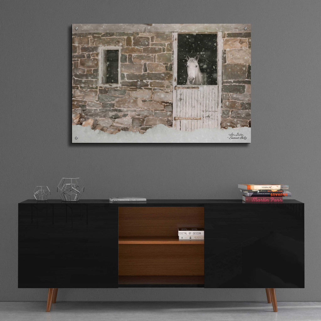 Epic Art 'Snowed in Horse' by Lori Deiter, Acrylic Glass Wall Art,36x24