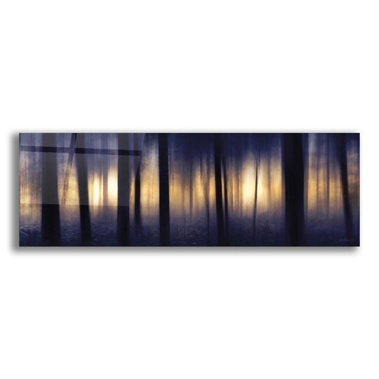 Epic Art 'Edge of the Forest' by Lori Deiter, Acrylic Glass Wall Art,3:1