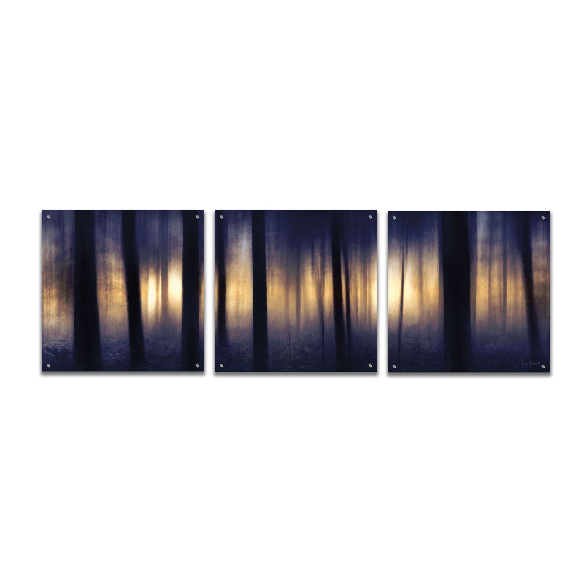 Epic Art 'Edge of the Forest' by Lori Deiter, Acrylic Glass Wall Art, 3 Piece Set