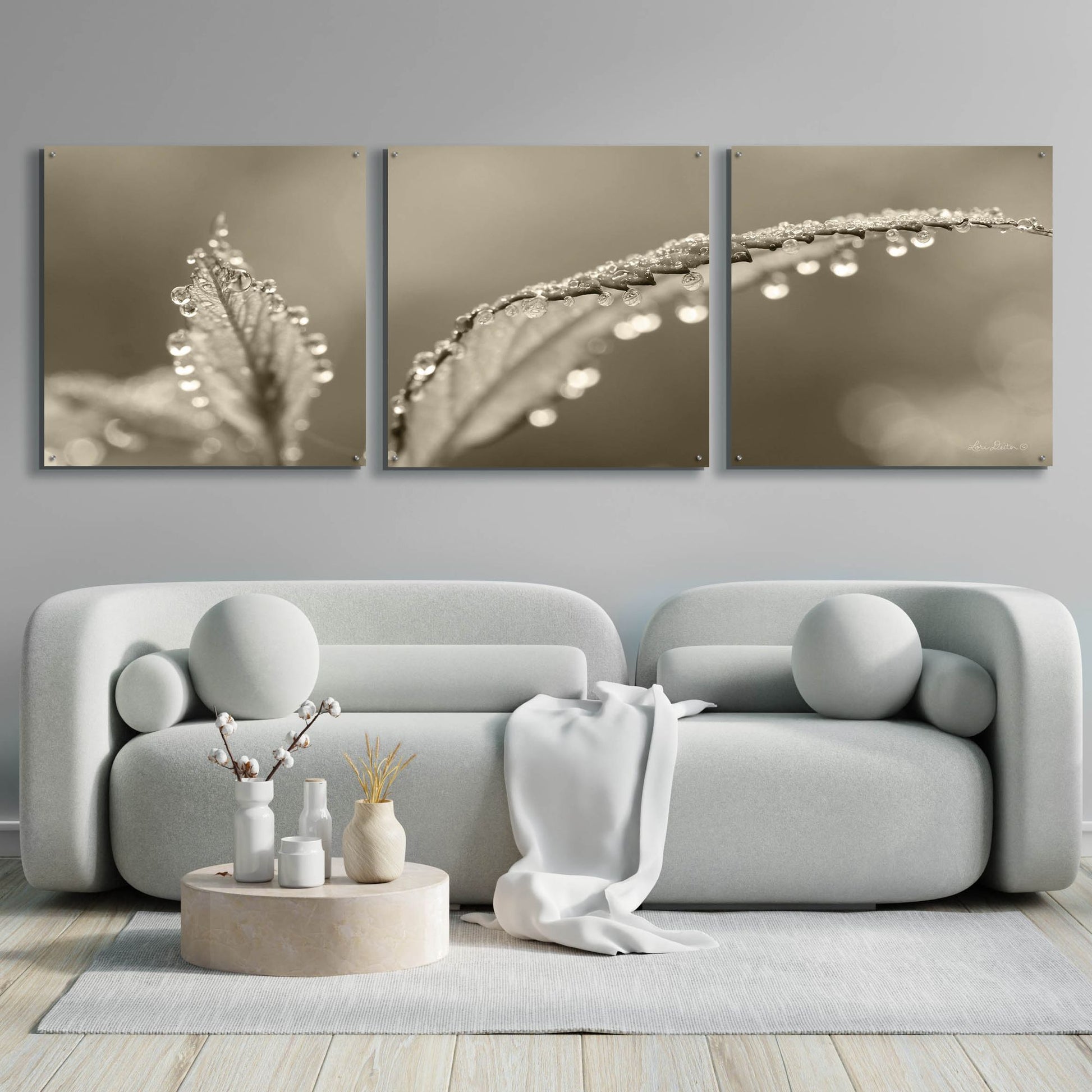 Epic Art 'Dewey Morning' by Lori Deiter, Acrylic Glass Wall Art, 3 Piece Set,108x36