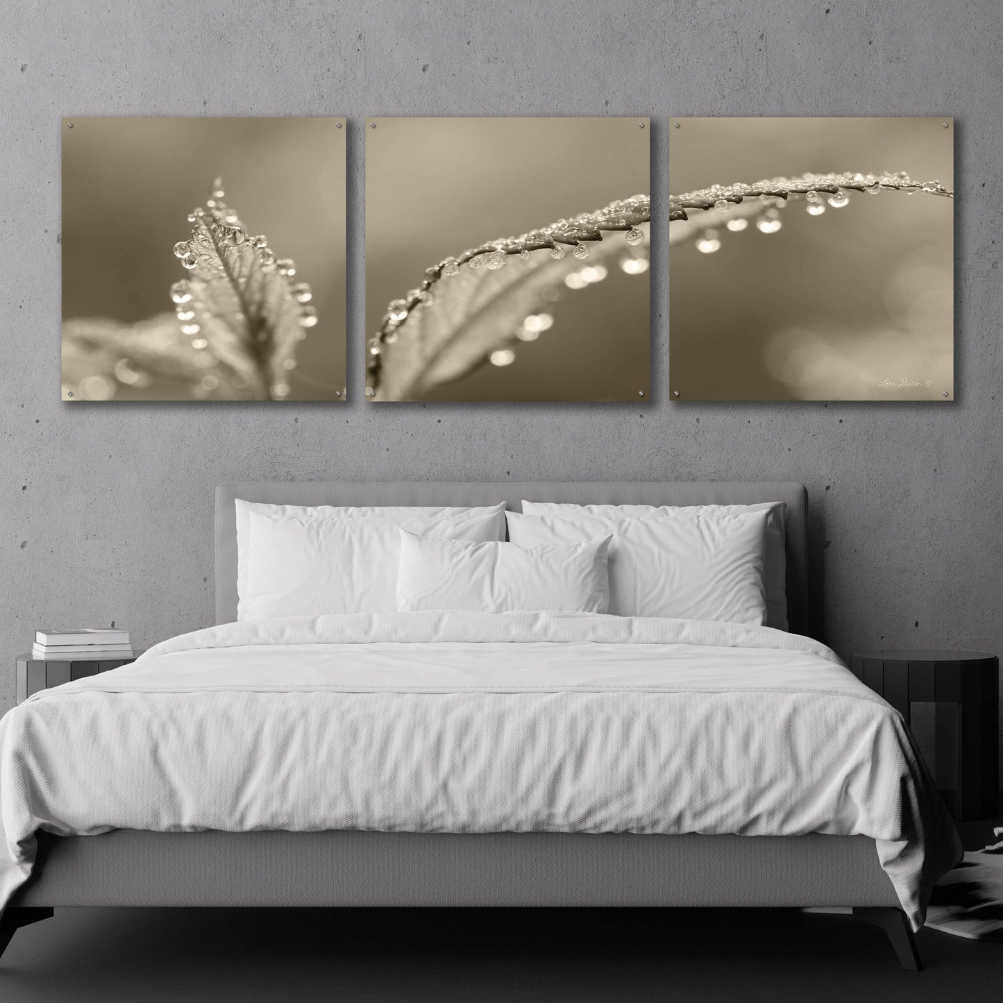 Epic Art 'Dewey Morning' by Lori Deiter, Acrylic Glass Wall Art, 3 Piece Set,108x36