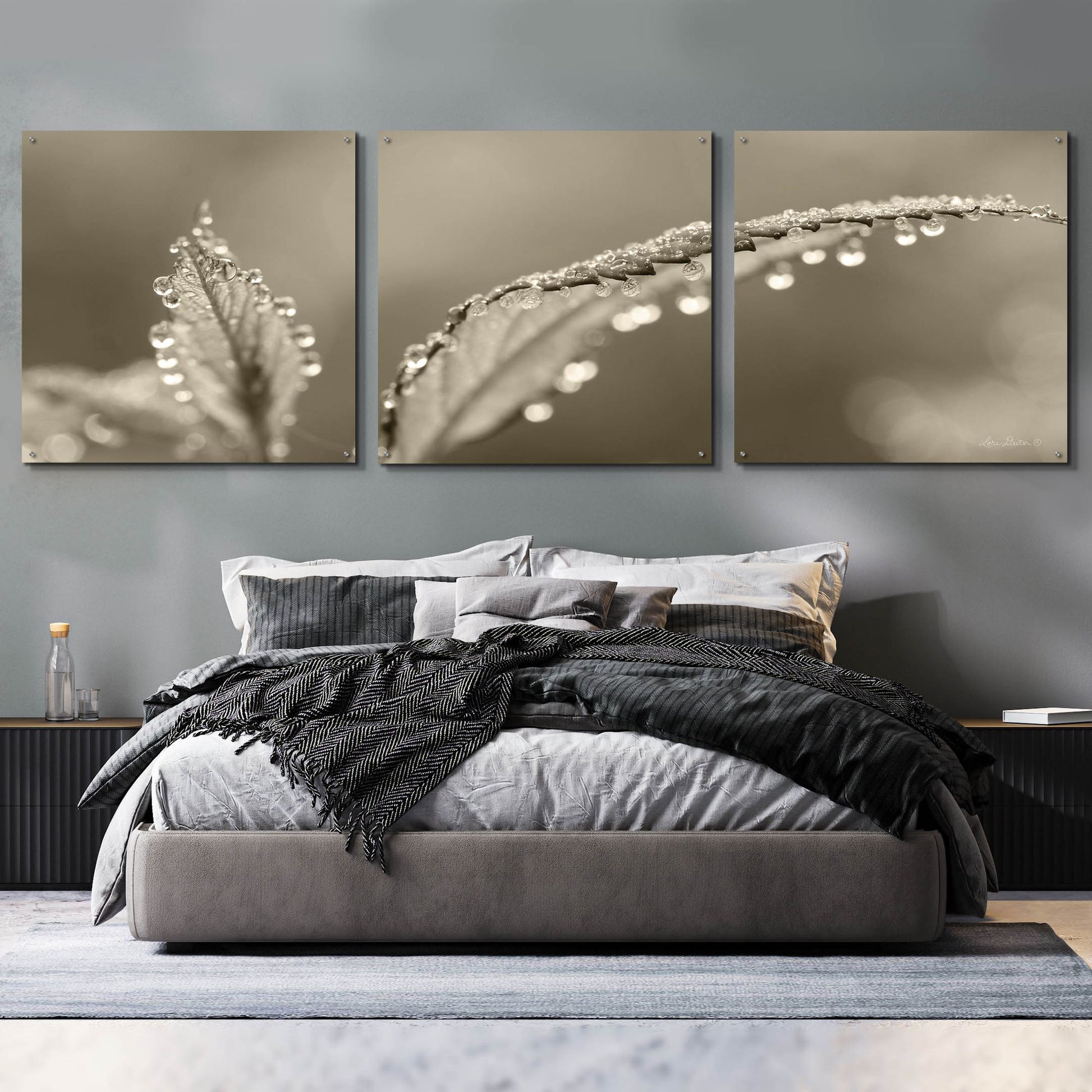 Epic Art 'Dewey Morning' by Lori Deiter, Acrylic Glass Wall Art, 3 Piece Set,108x36