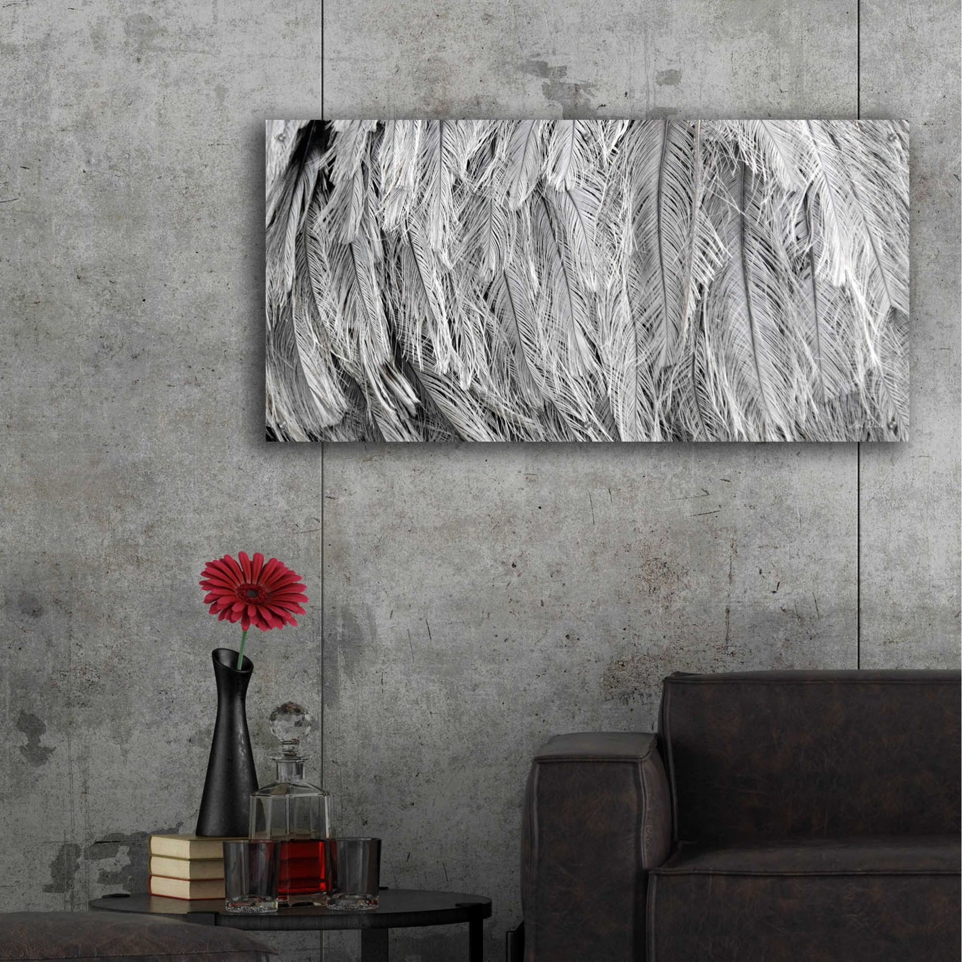 Epic Art 'Silver Feathers' by Lori Deiter, Acrylic Glass Wall Art,48x24