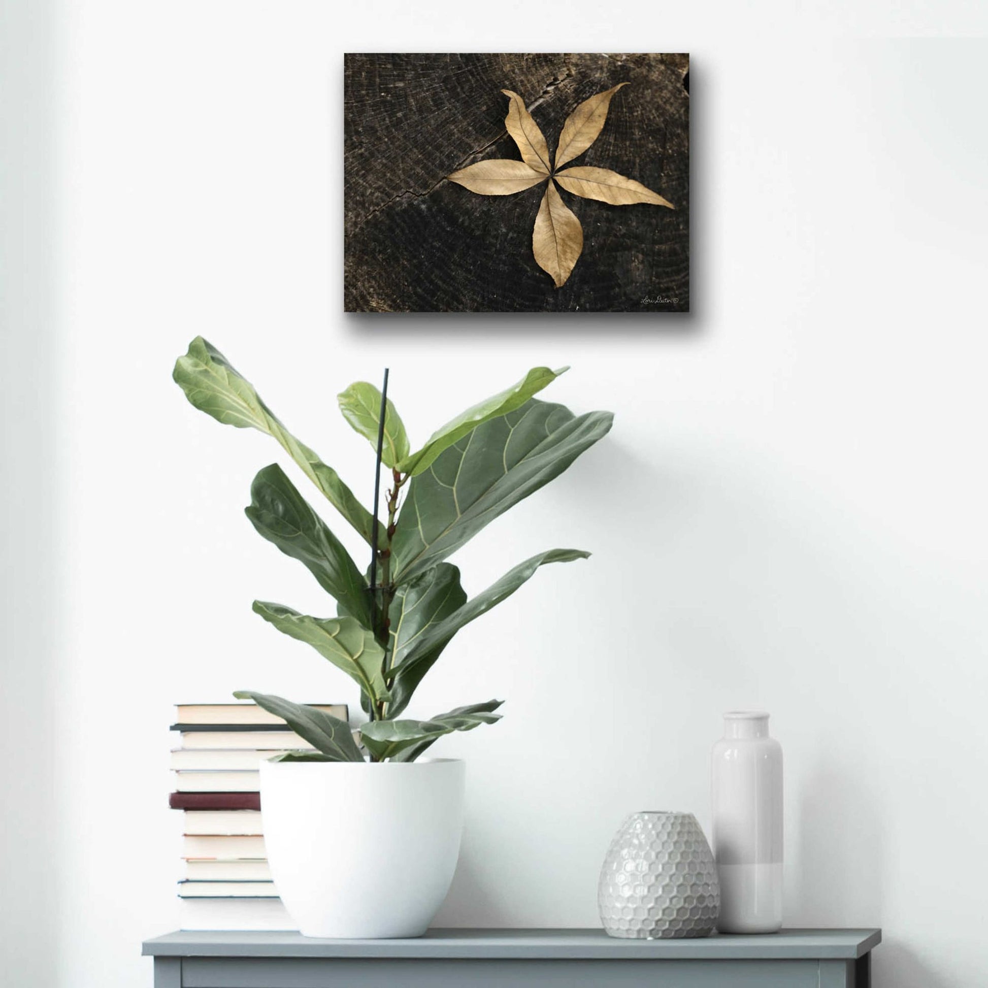 Epic Art 'Natural Buckeye Leaf' by Lori Deiter, Acrylic Glass Wall Art,16x12