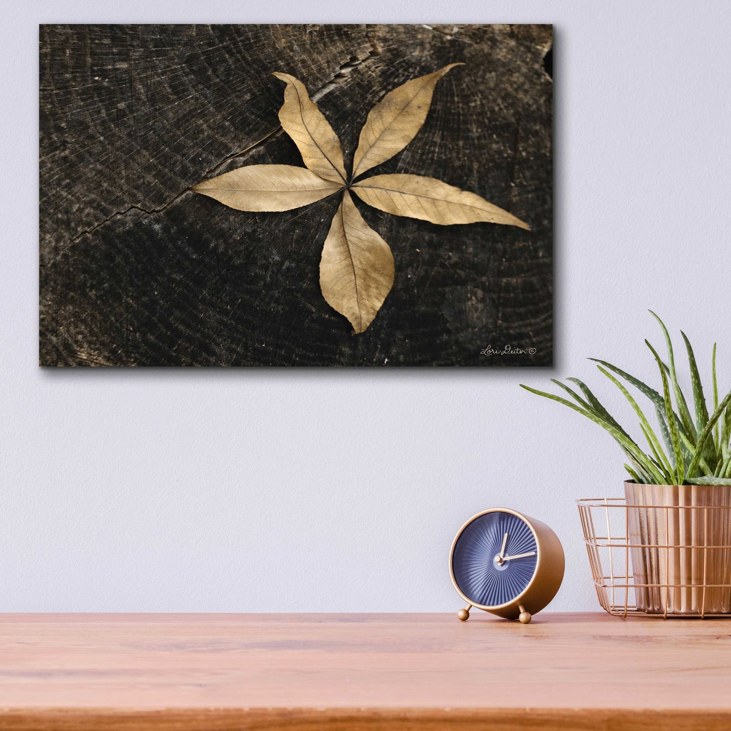 Epic Art 'Natural Buckeye Leaf' by Lori Deiter, Acrylic Glass Wall Art,16x12