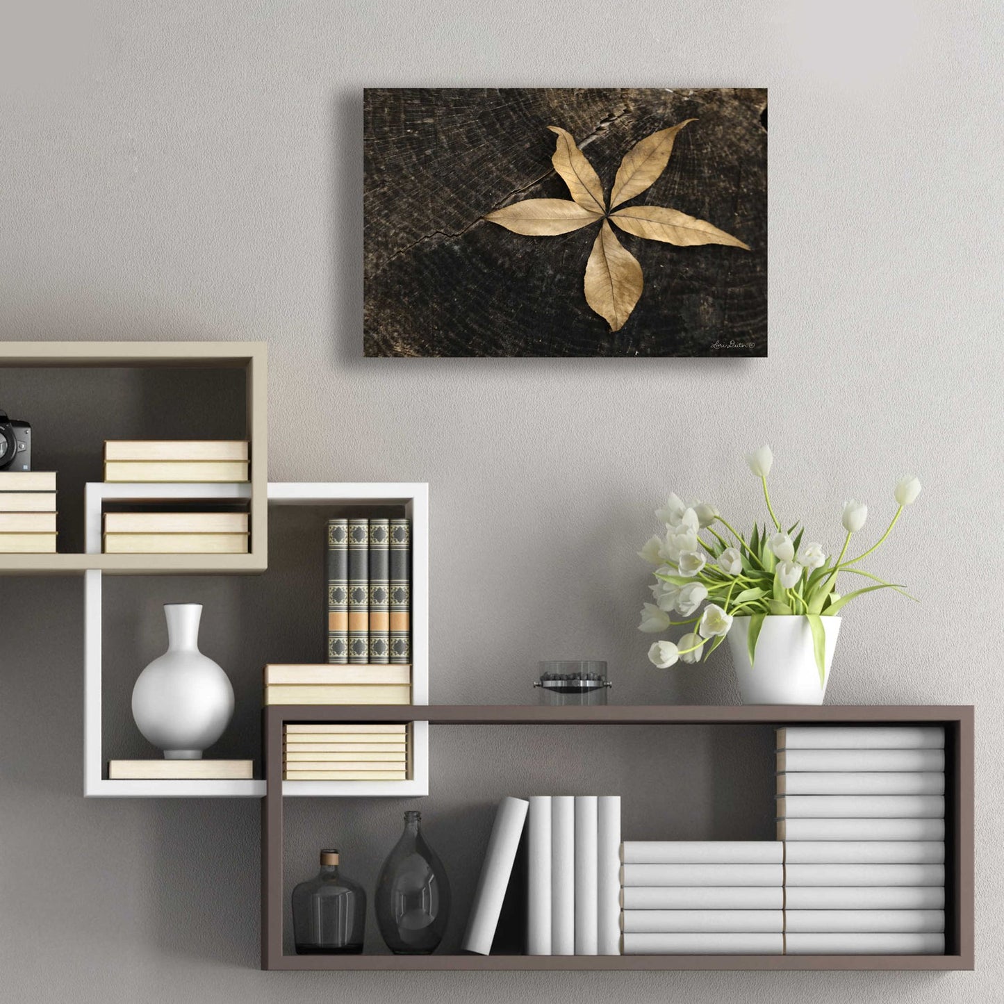 Epic Art 'Natural Buckeye Leaf' by Lori Deiter, Acrylic Glass Wall Art,24x16