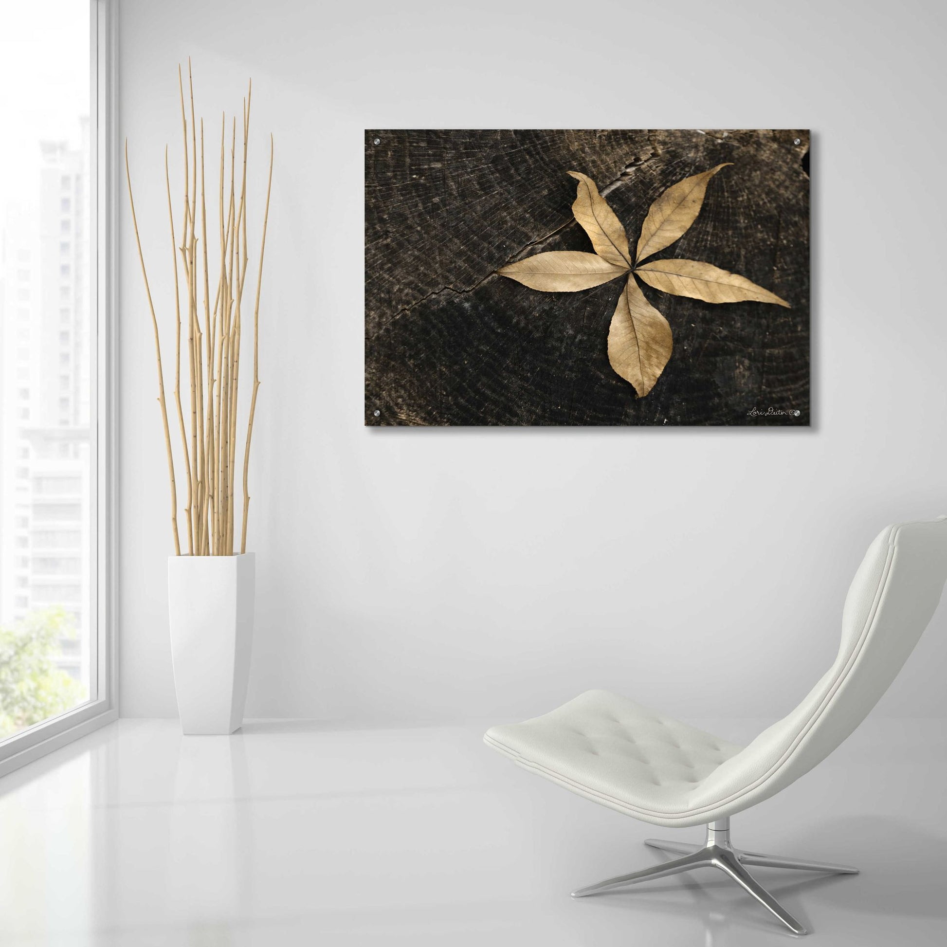 Epic Art 'Natural Buckeye Leaf' by Lori Deiter, Acrylic Glass Wall Art,36x24