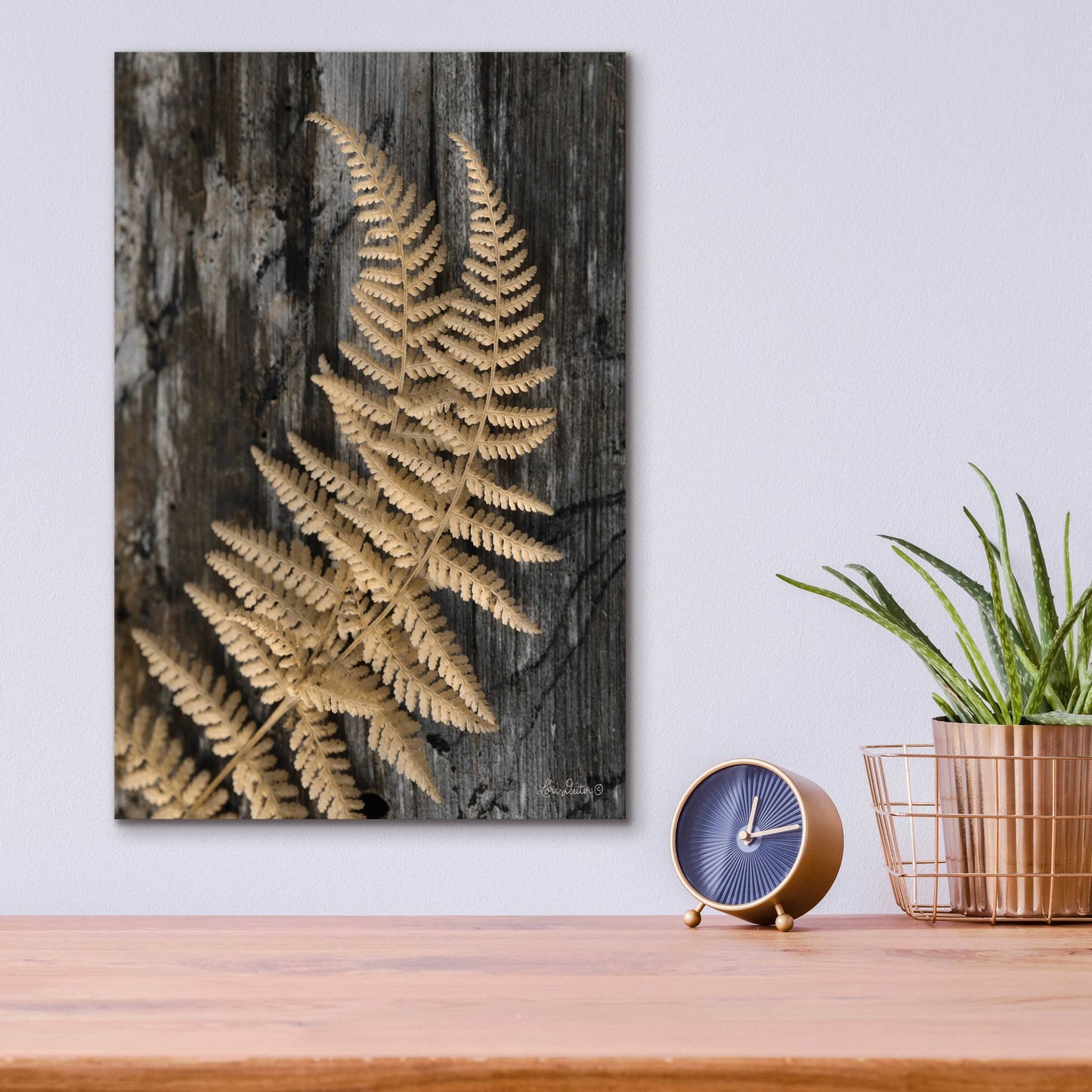 Epic Art 'Natural Gold Fern' by Lori Deiter, Acrylic Glass Wall Art,12x16