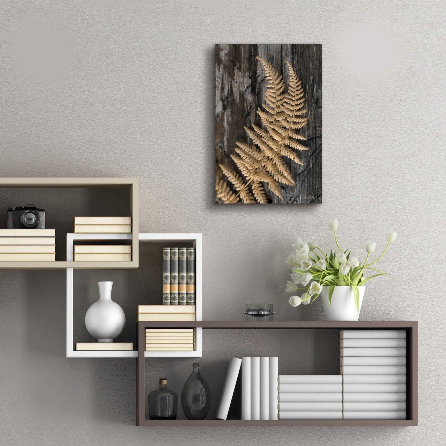 Epic Art 'Natural Gold Fern' by Lori Deiter, Acrylic Glass Wall Art,16x24