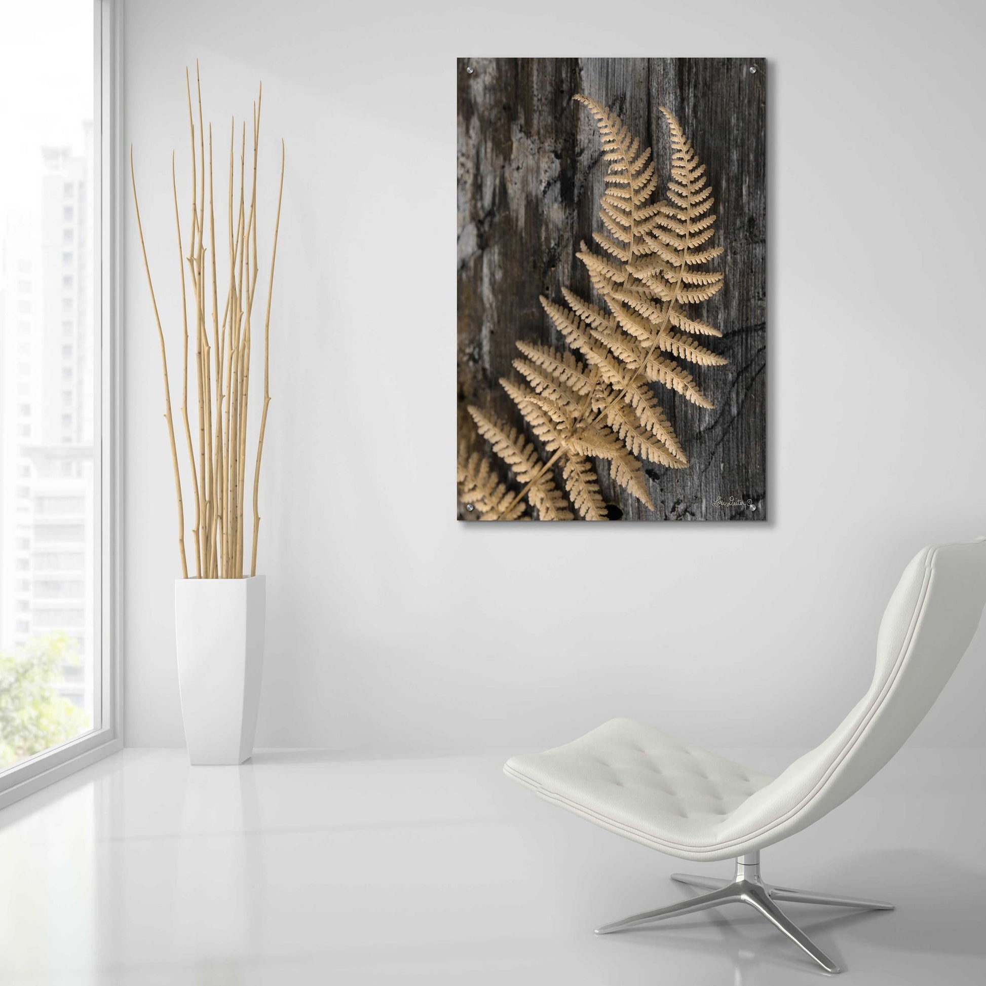 Epic Art 'Natural Gold Fern' by Lori Deiter, Acrylic Glass Wall Art,24x36