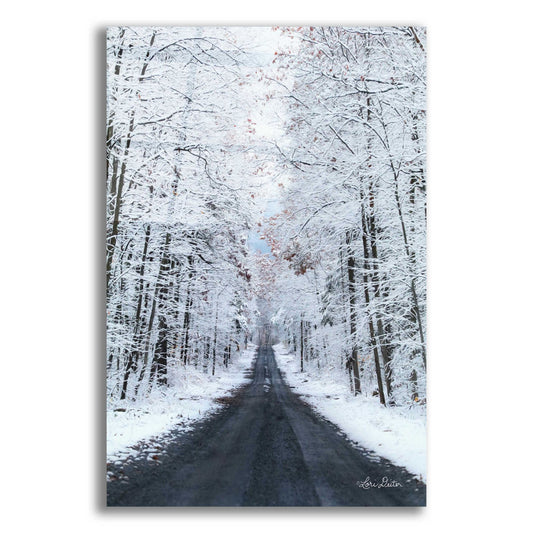 Epic Art 'All Roads Lead Home' by Lori Deiter, Acrylic Glass Wall Art