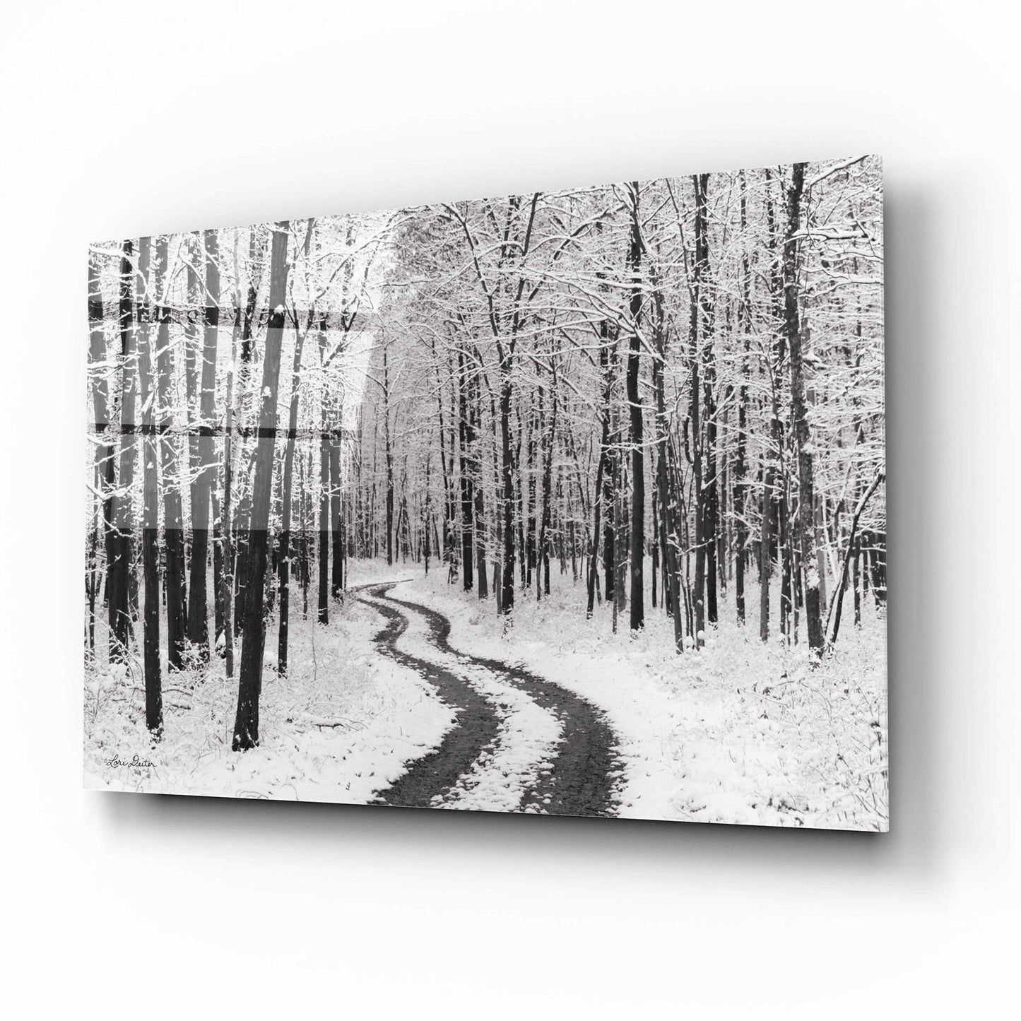 Epic Art 'Snowy Road' by Lori Deiter, Acrylic Glass Wall Art,16x12