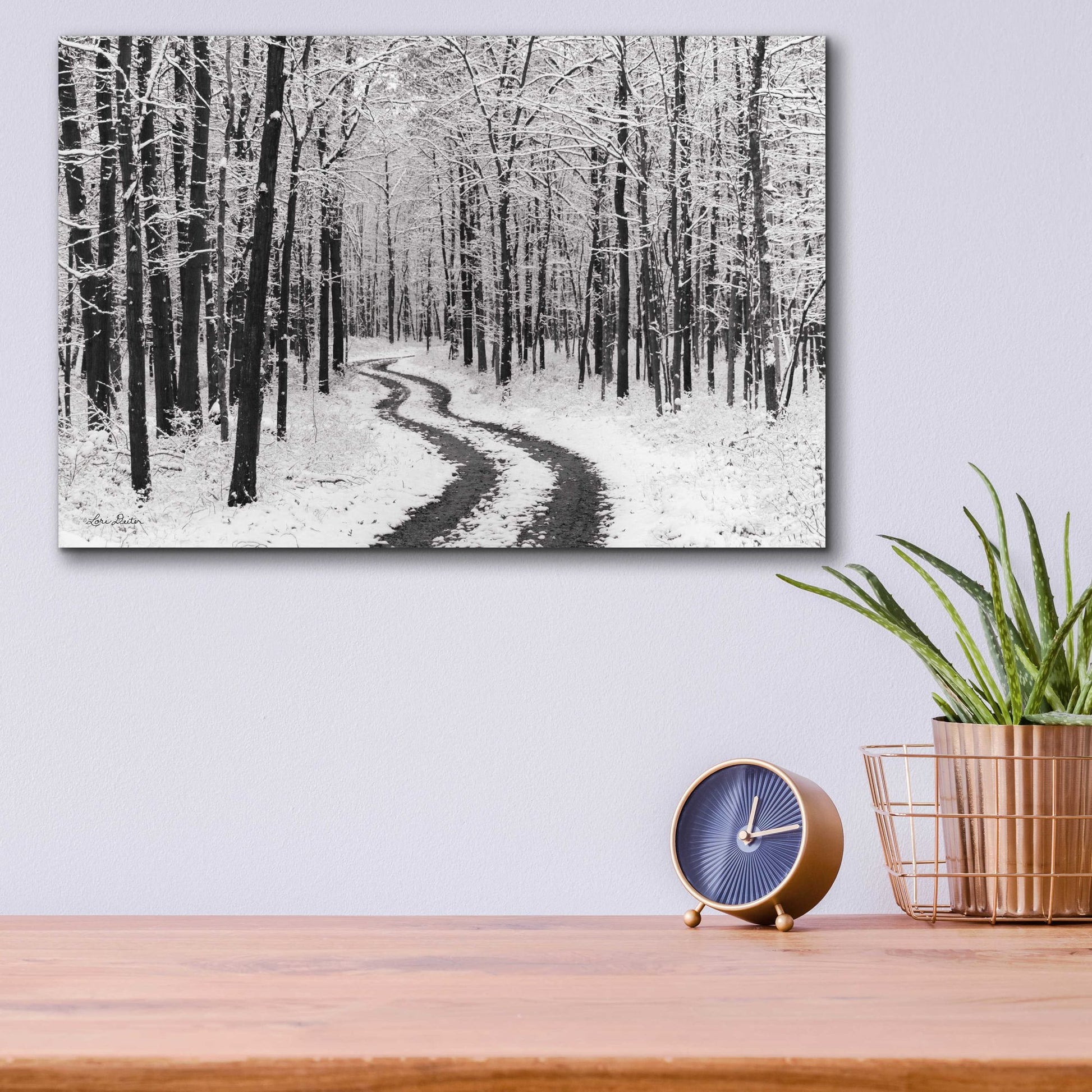 Epic Art 'Snowy Road' by Lori Deiter, Acrylic Glass Wall Art,16x12