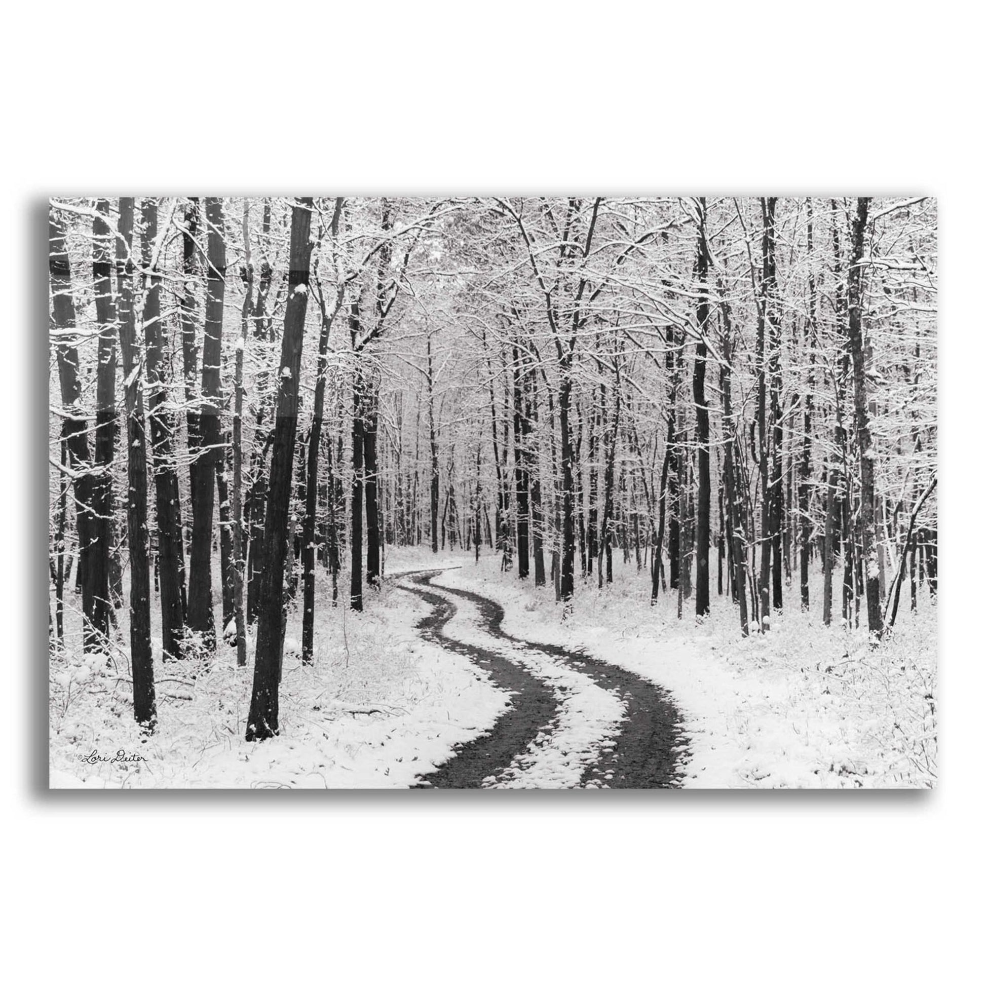 Epic Art 'Snowy Road' by Lori Deiter, Acrylic Glass Wall Art,24x16