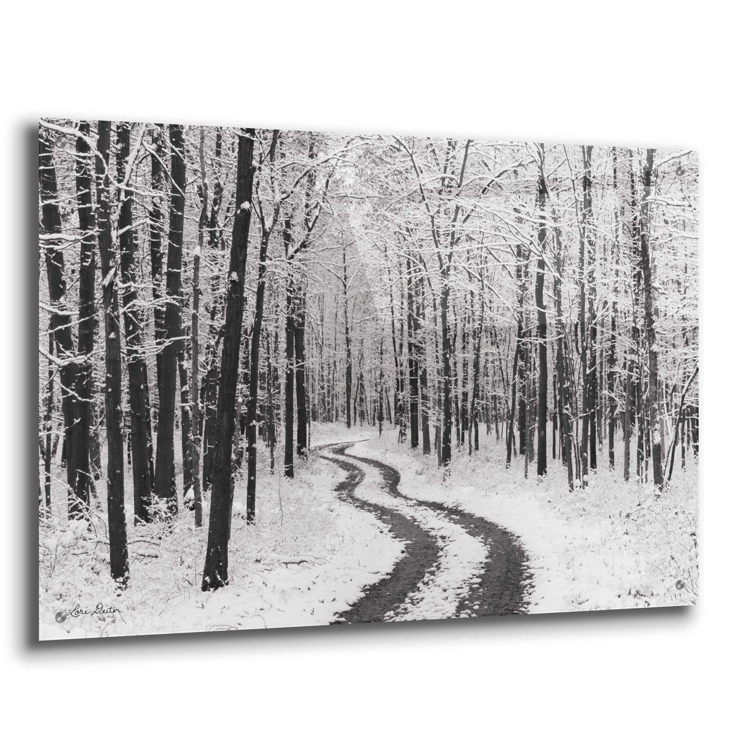 Epic Art 'Snowy Road' by Lori Deiter, Acrylic Glass Wall Art,36x24