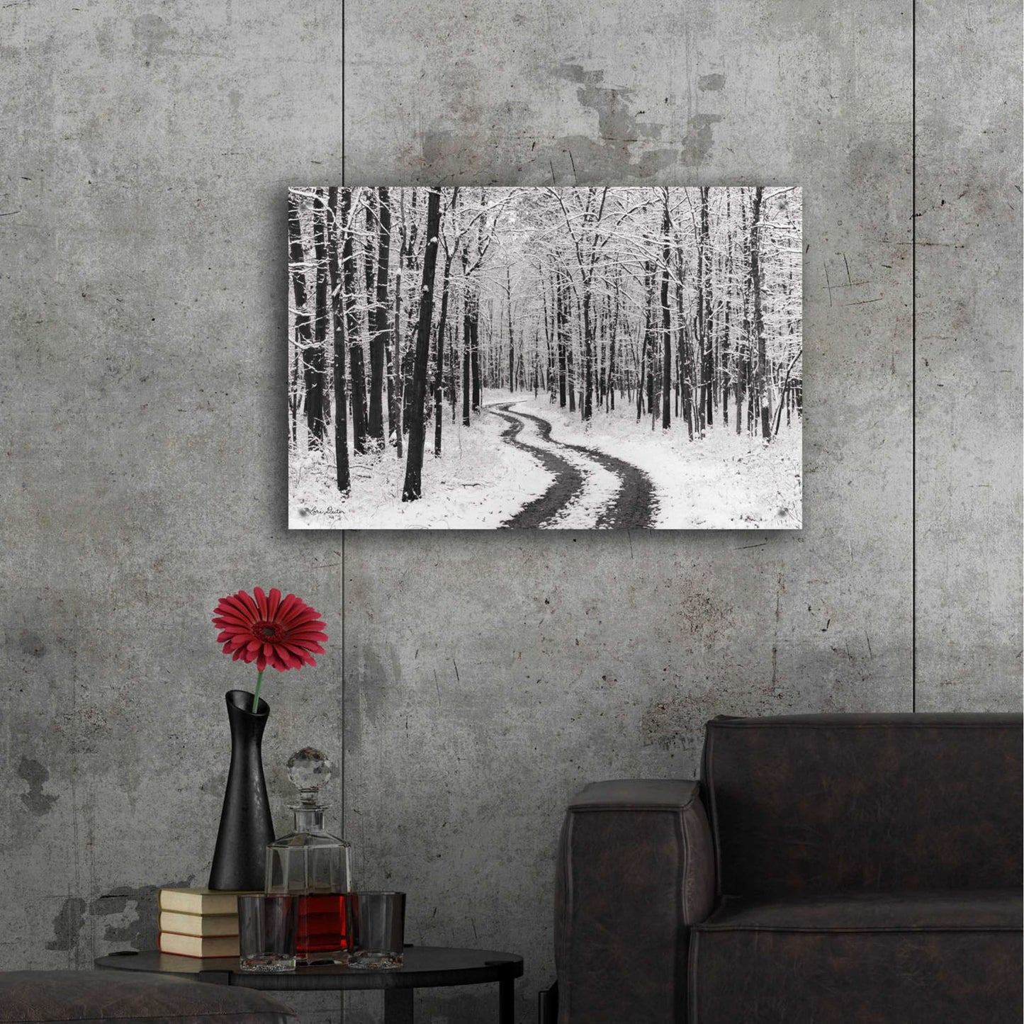 Epic Art 'Snowy Road' by Lori Deiter, Acrylic Glass Wall Art,36x24