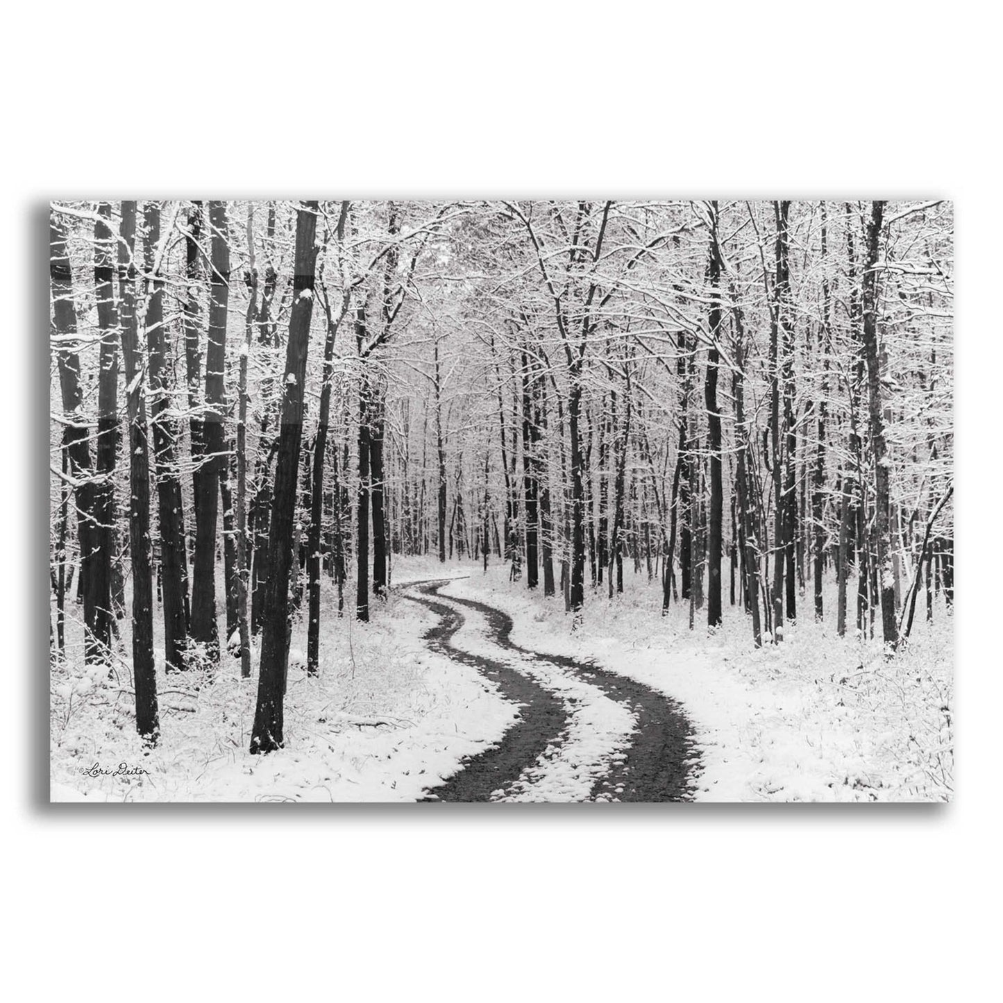 Epic Art 'Snowy Road' by Lori Deiter, Acrylic Glass Wall Art