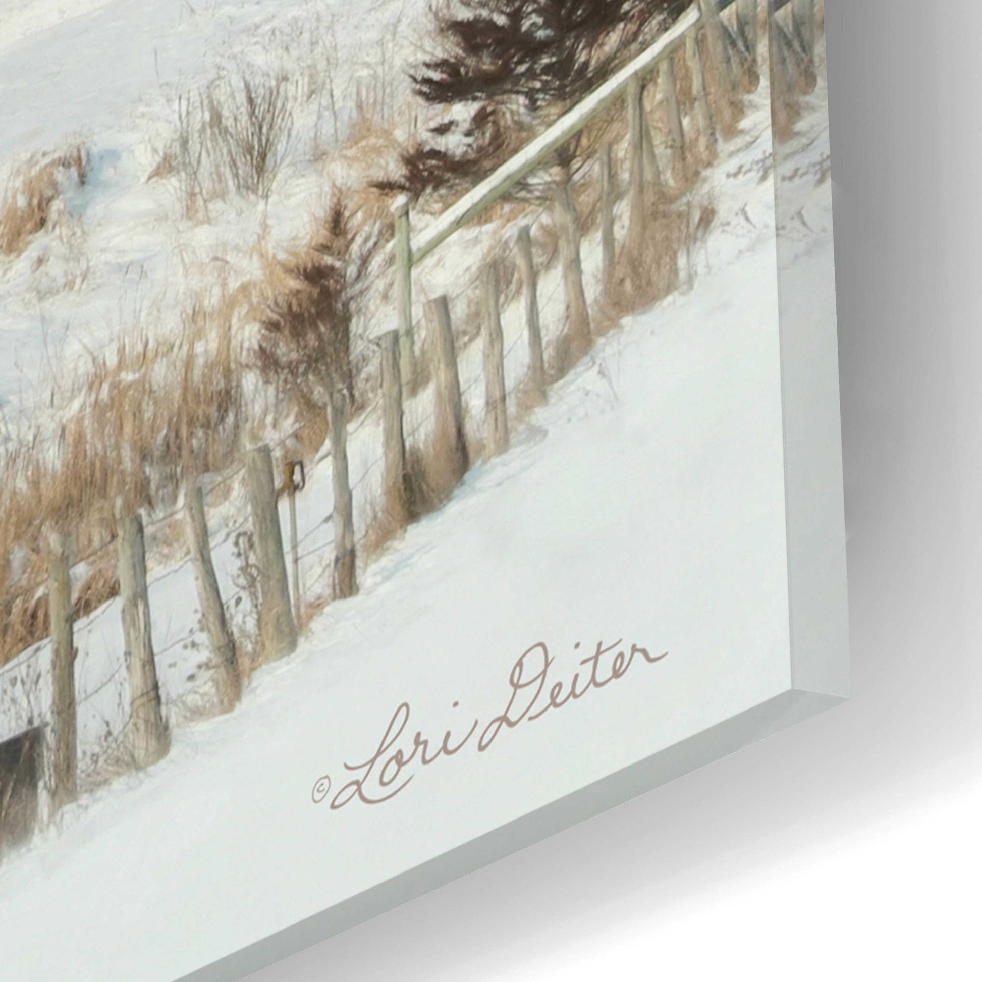 Epic Art 'The Lake Farm' by Lori Deiter, Acrylic Glass Wall Art,16x12