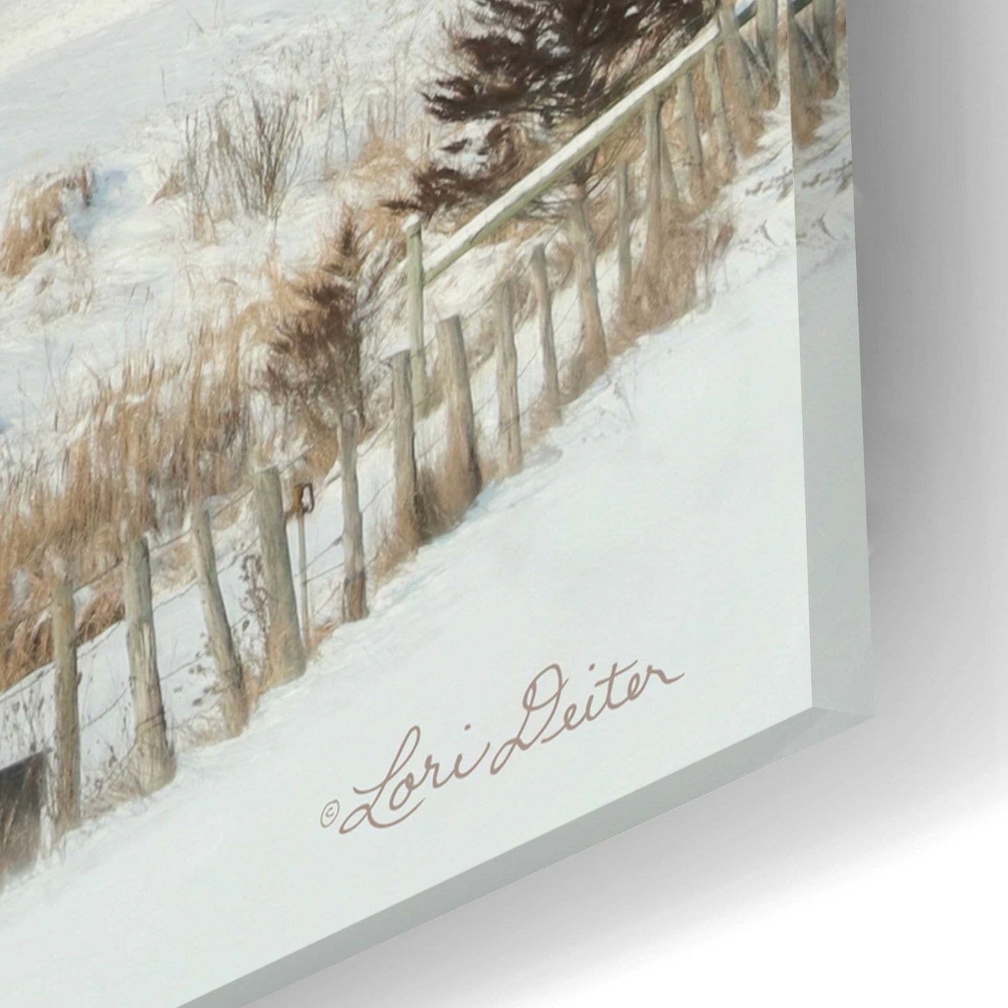 Epic Art 'The Lake Farm' by Lori Deiter, Acrylic Glass Wall Art,24x16